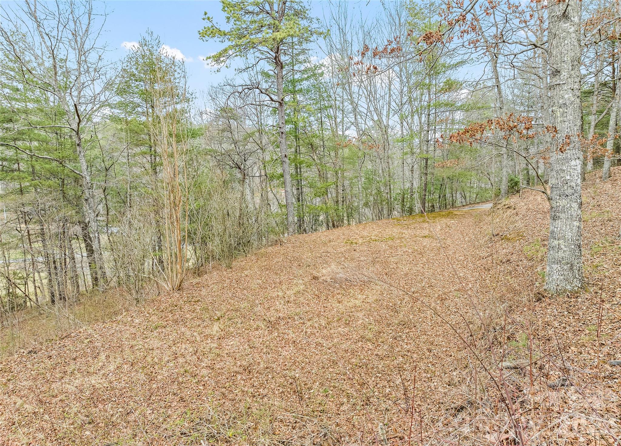 171 Fortner Road — Bryson City