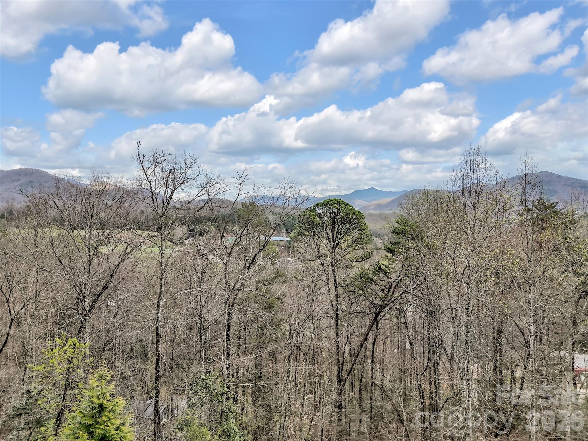115 Fugitive Run — Sylva