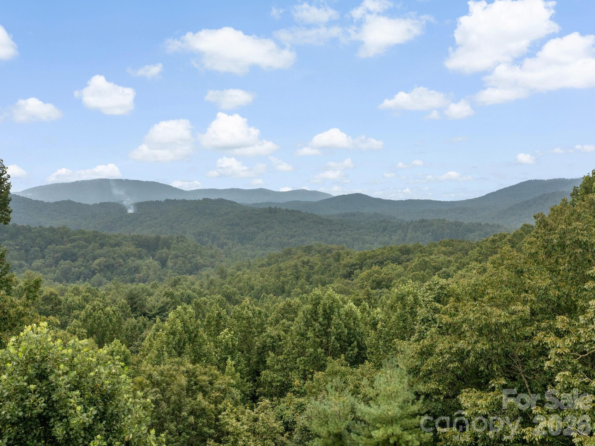 60 Whispering Stream Trail — Hendersonville
