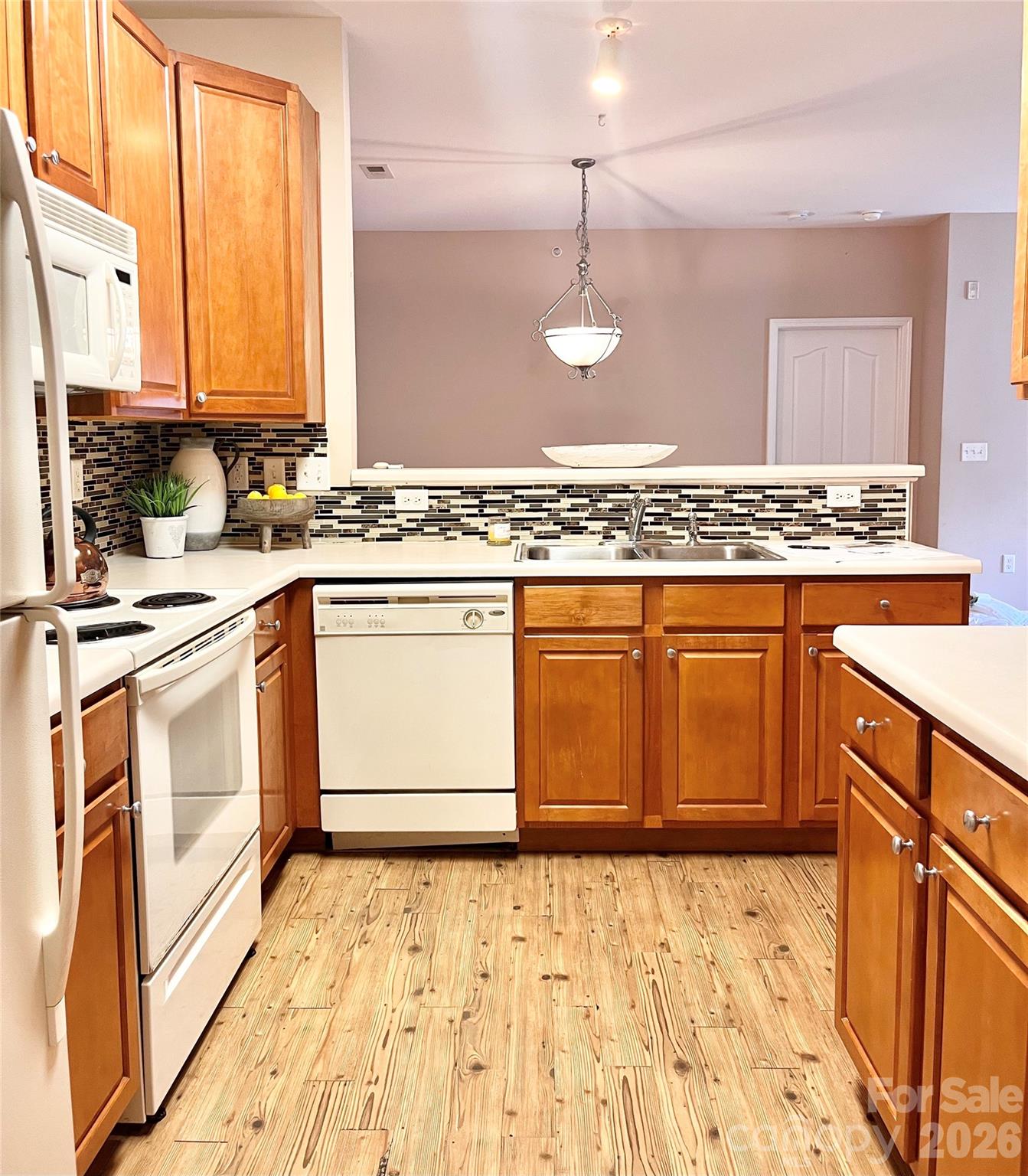 11264 Hyde Pointe Court — Charlotte