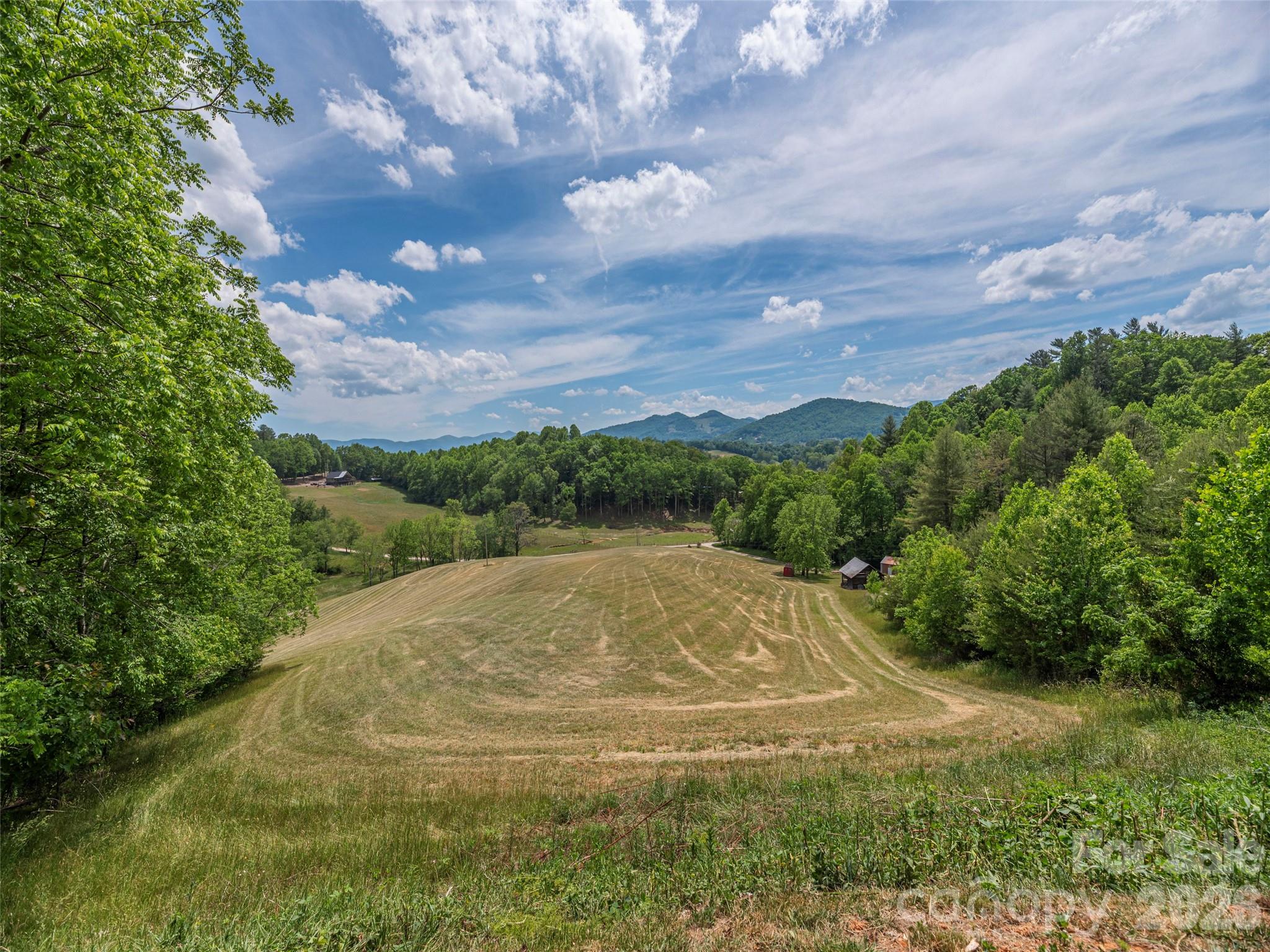 461 Ferguson Cove Loop — Clyde