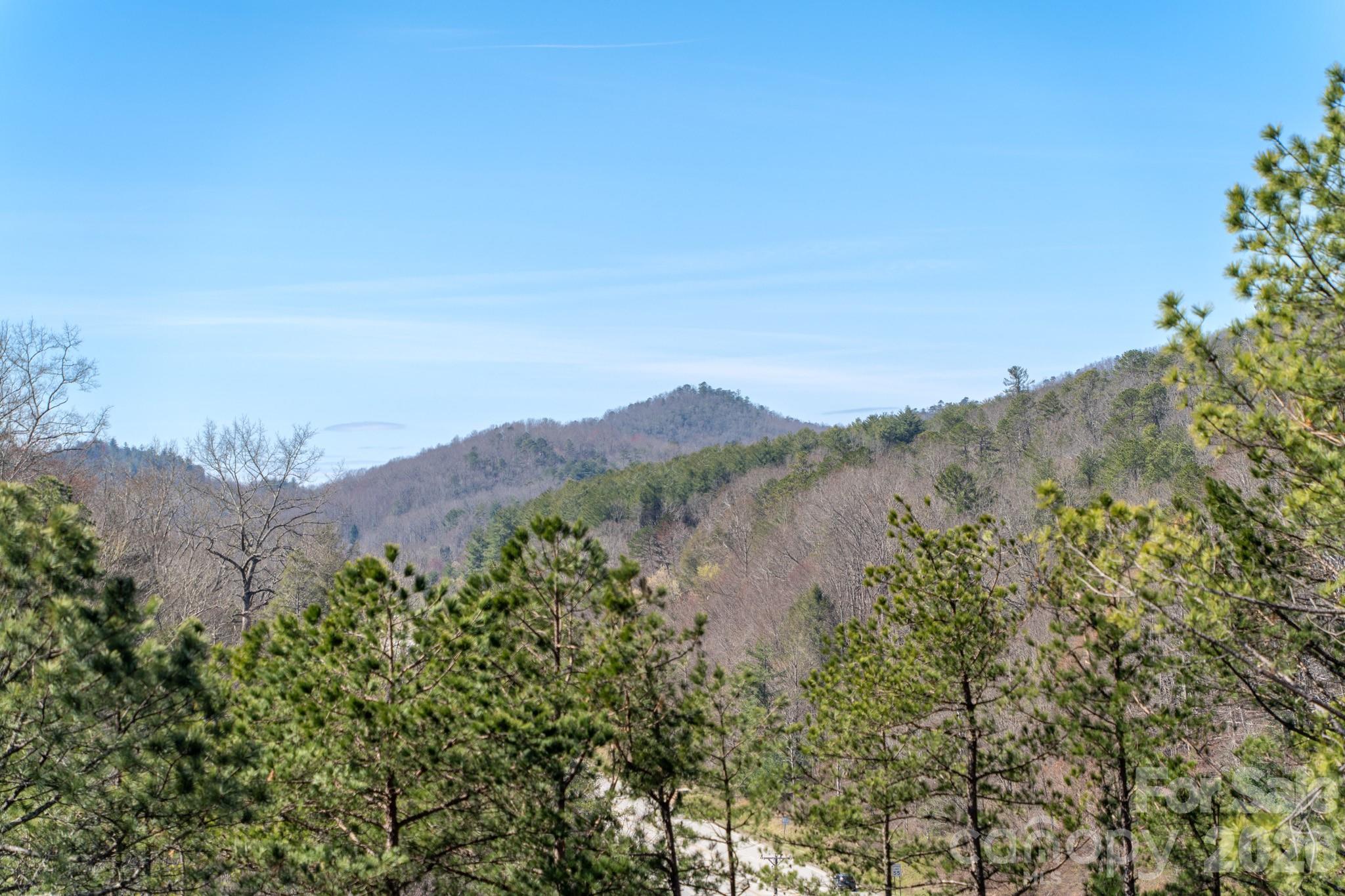 74 Jeranna Road — Mills River