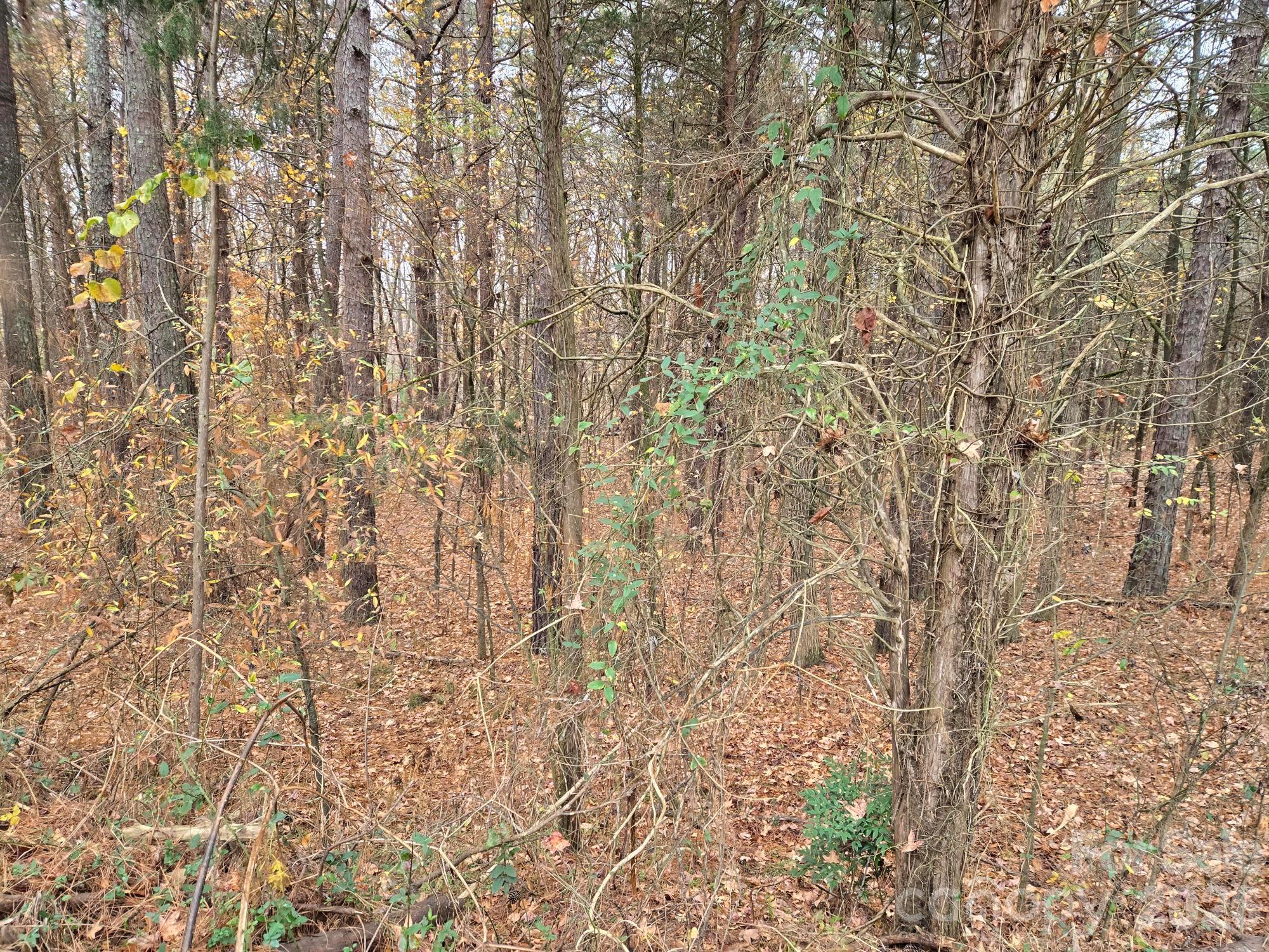 1718 Measmer Street — Kannapolis