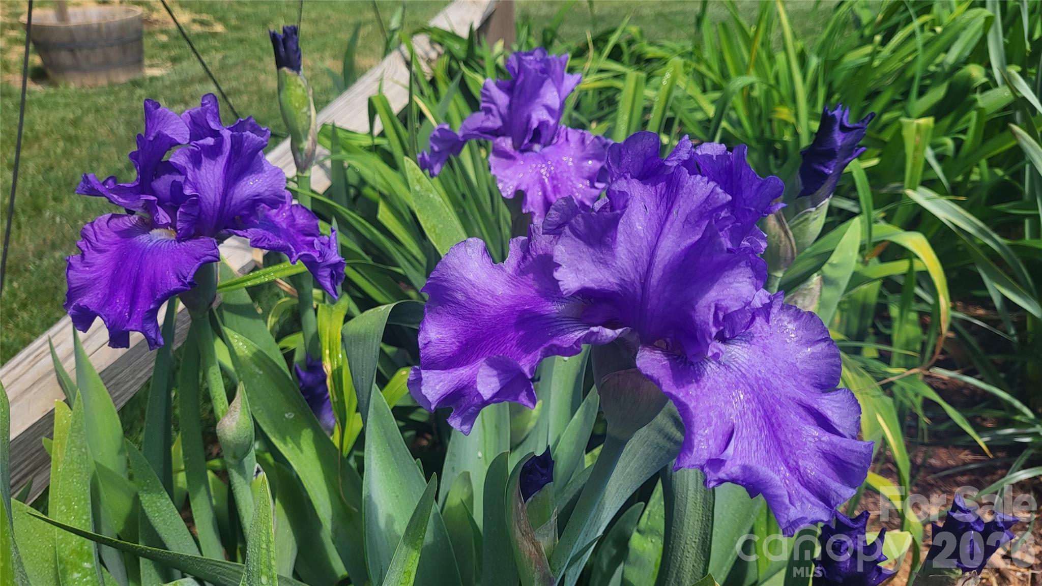 3938 Village Boulevard NW — Conover