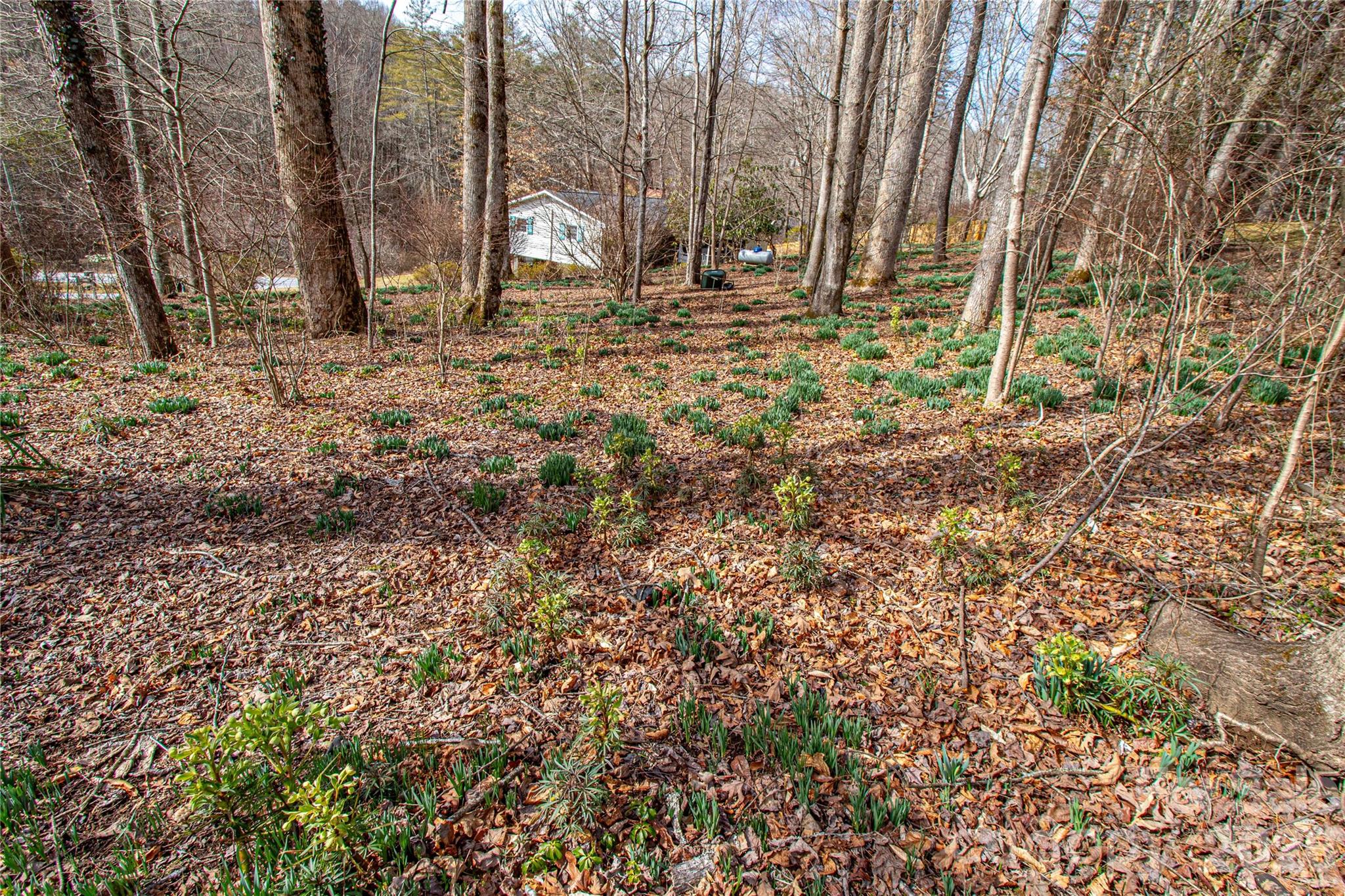 356 Pleasant Hill Drive — Brevard