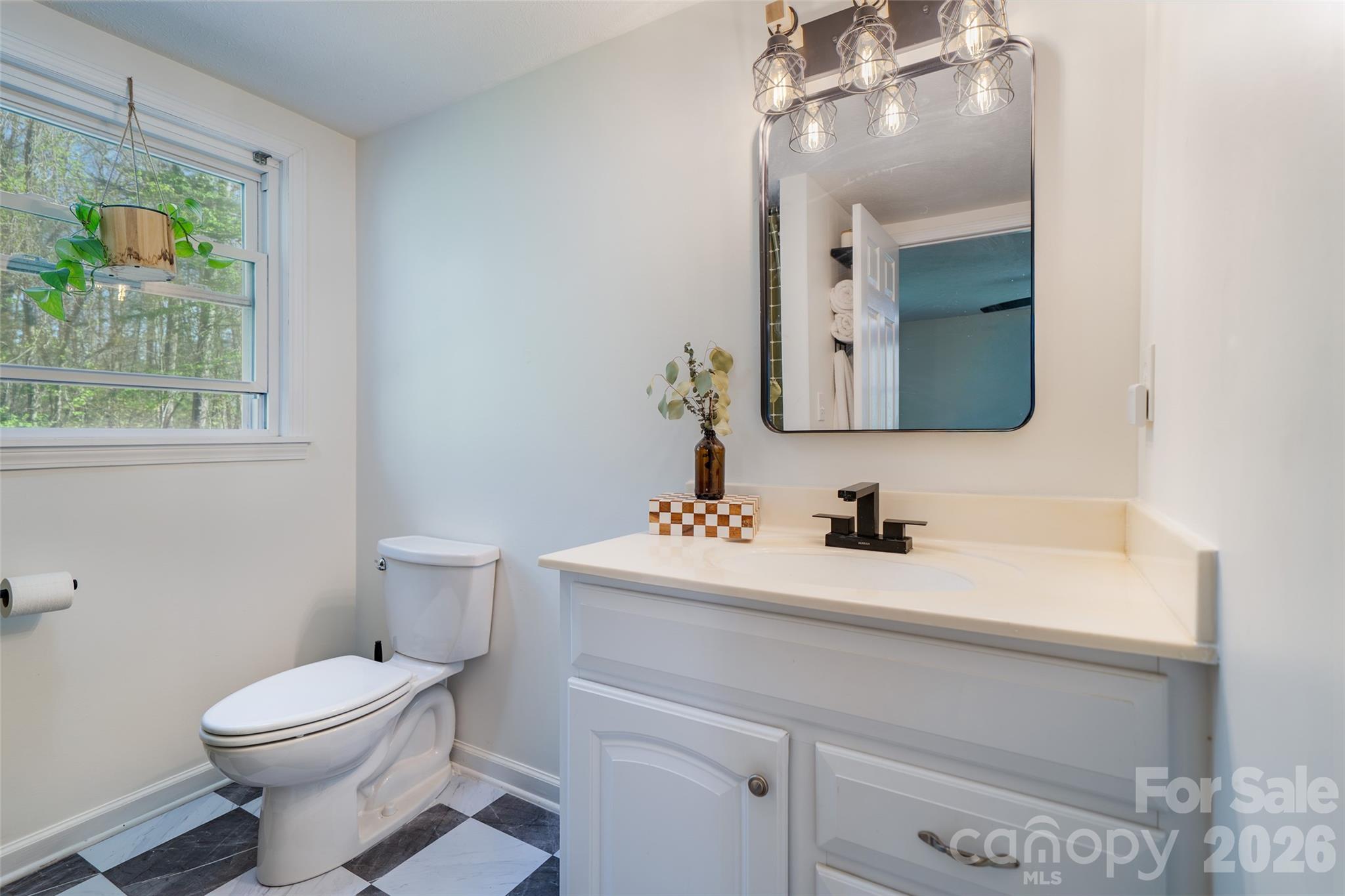 913 Dorothy Street — Hendersonville