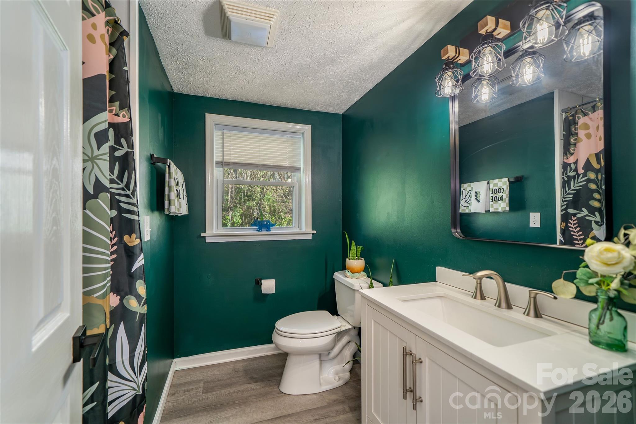 913 Dorothy Street — Hendersonville