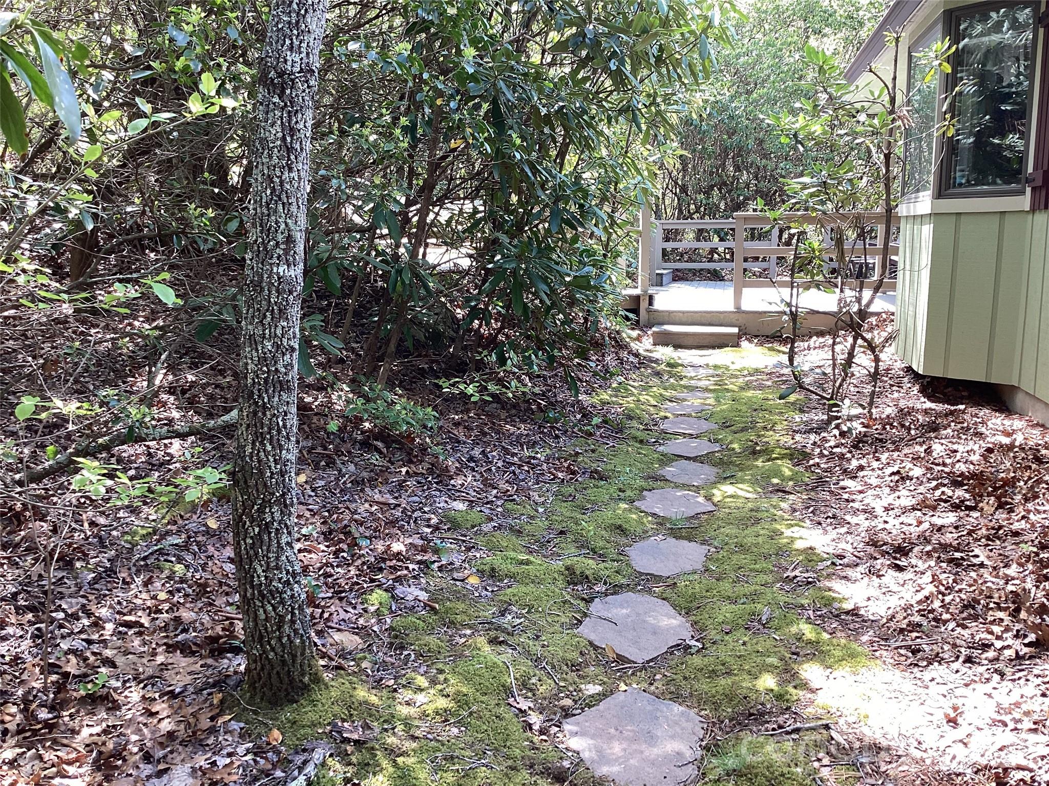 31 Rhododendron Road — Black Mountain