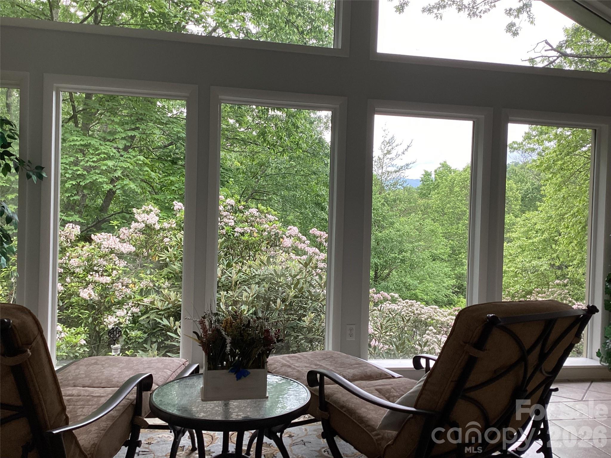 31 Rhododendron Road — Black Mountain