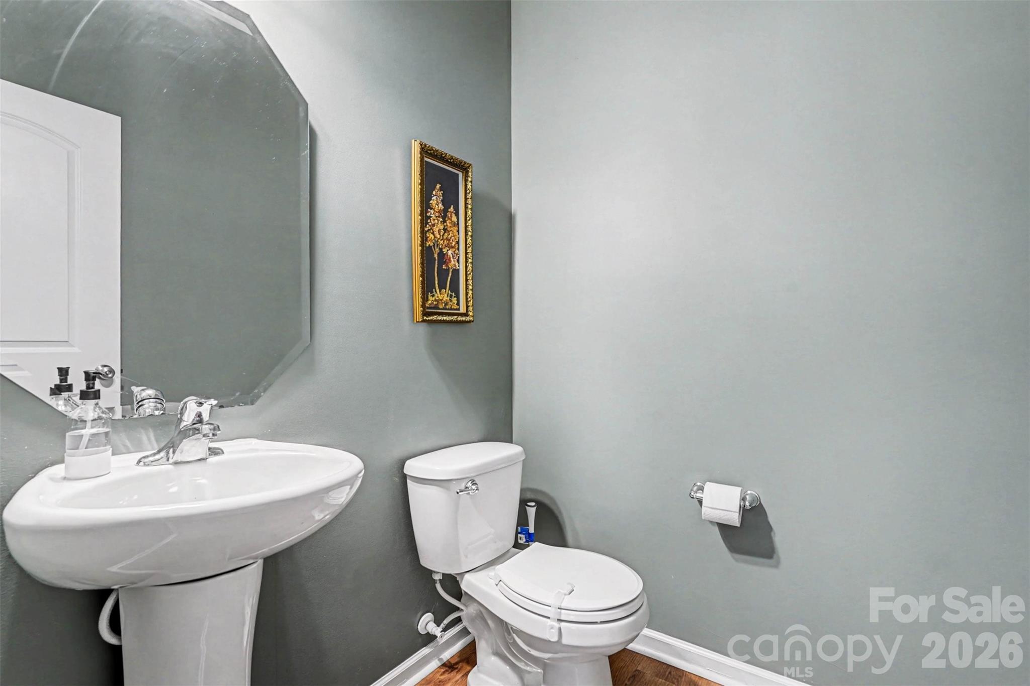 2419 Impatien Drive — Charlotte