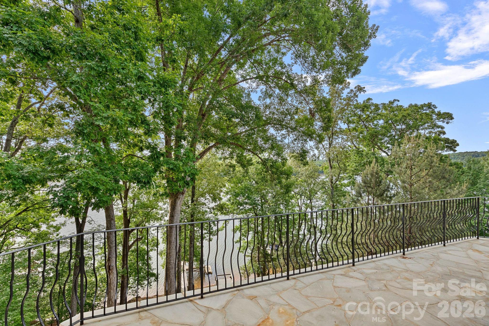 3225 Lake Pointe Drive — Belmont