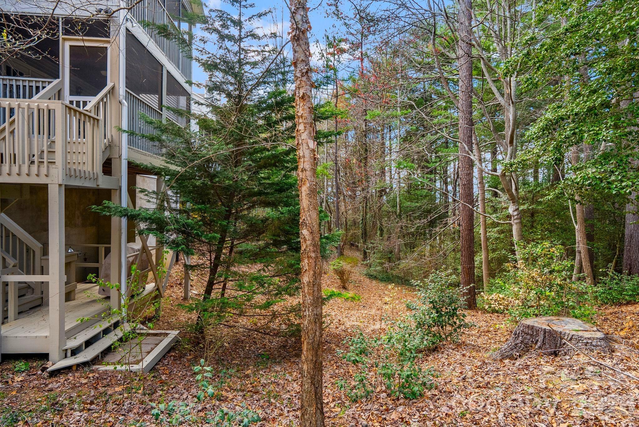 100 Thistle Knoll Court — Asheville
