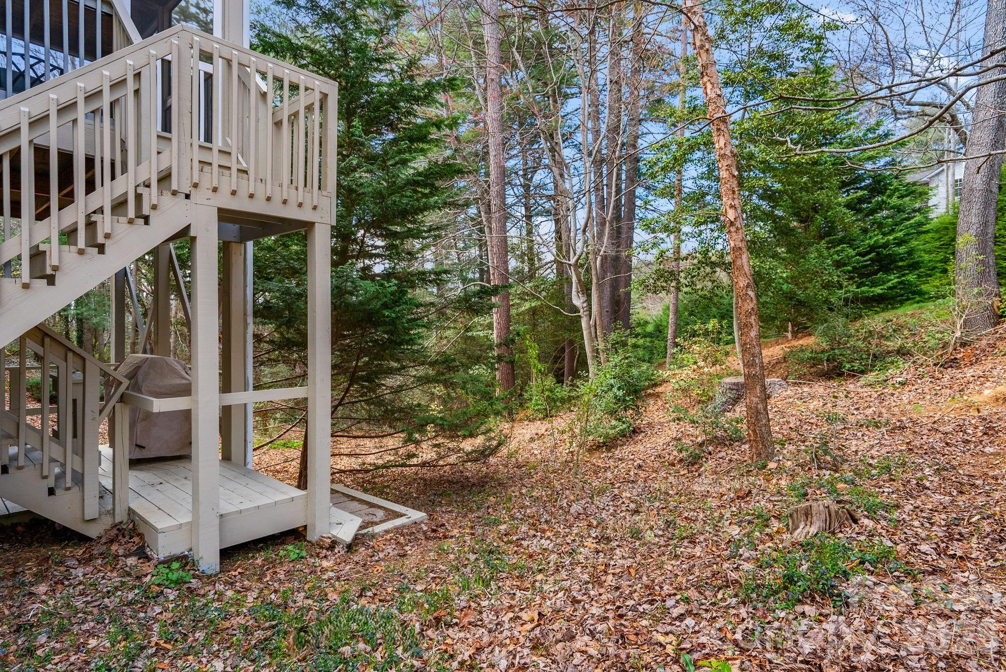 100 Thistle Knoll Court — Asheville