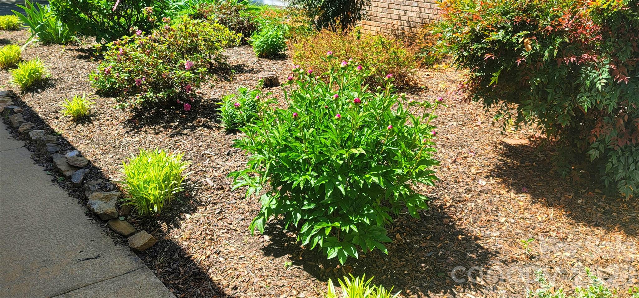100 Thistle Knoll Court — Asheville