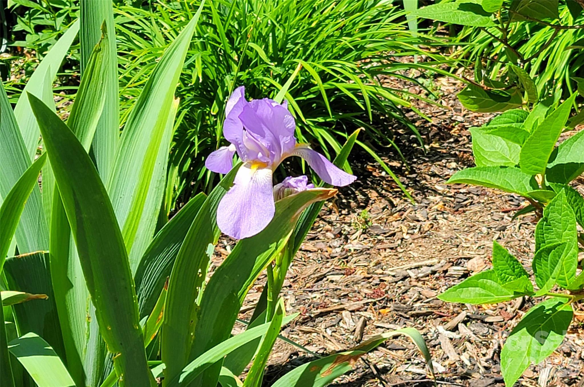 100 Thistle Knoll Court — Asheville