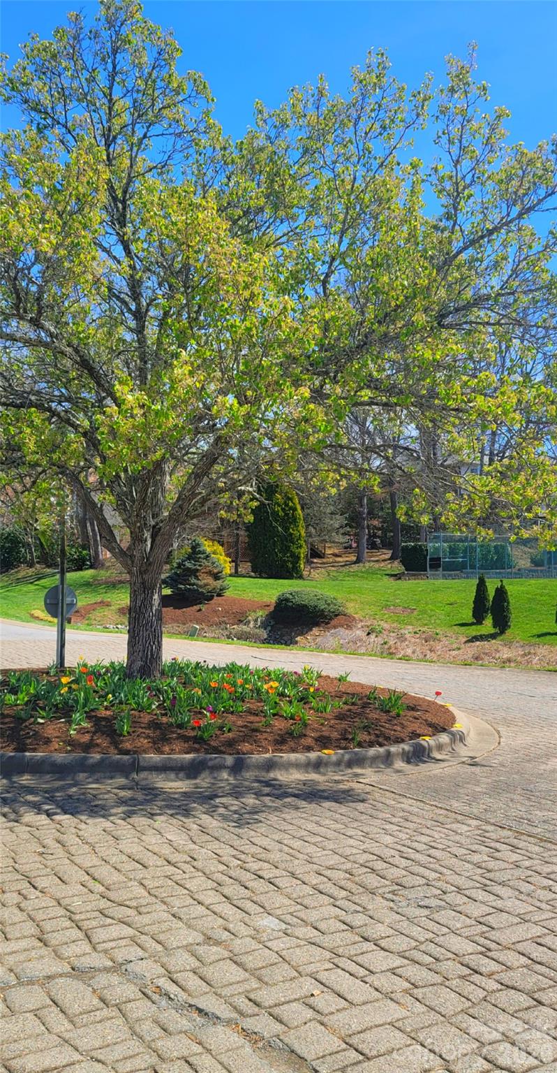 100 Thistle Knoll Court — Asheville