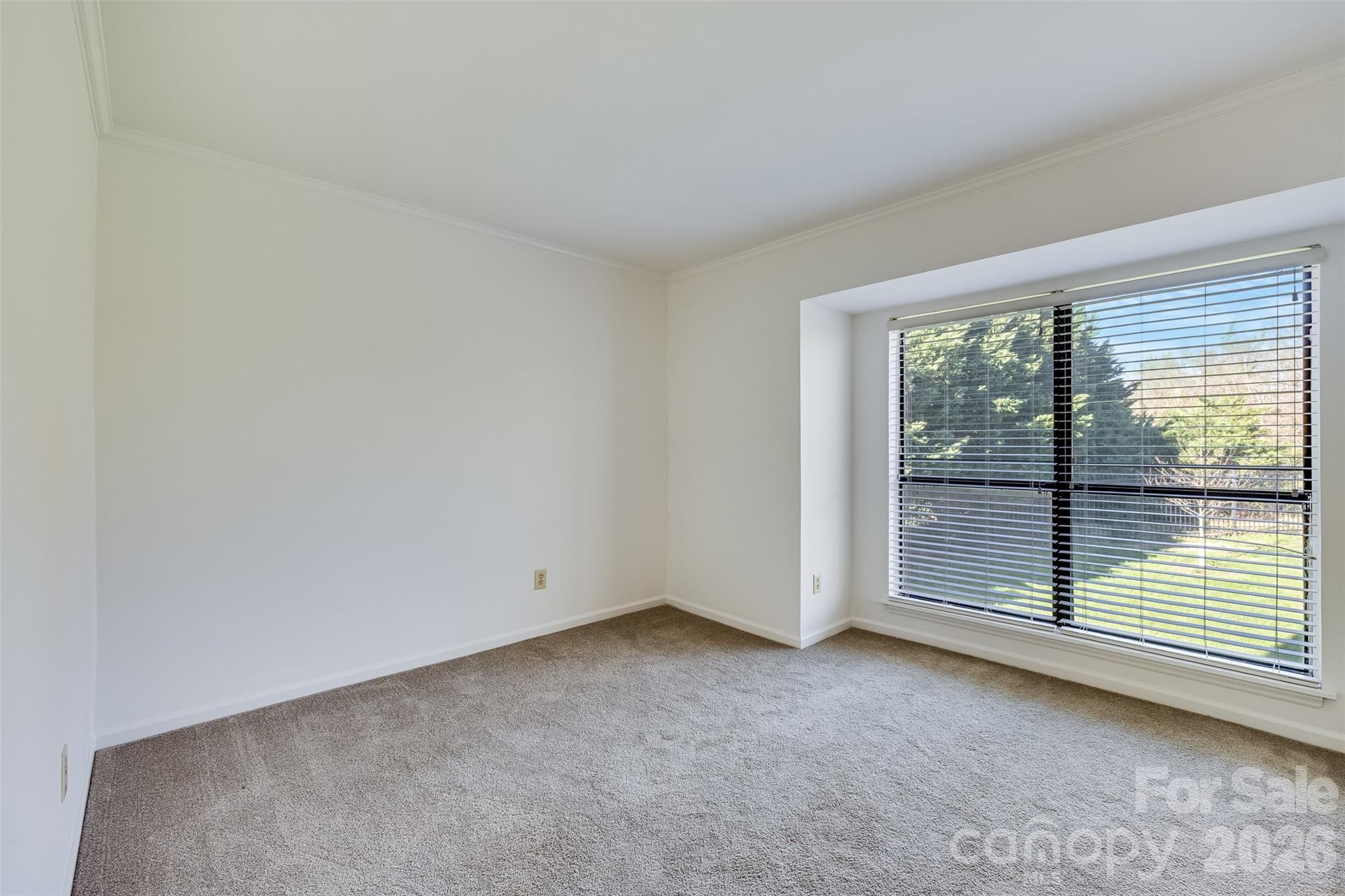 11020 Carmel Crossing Road — Charlotte