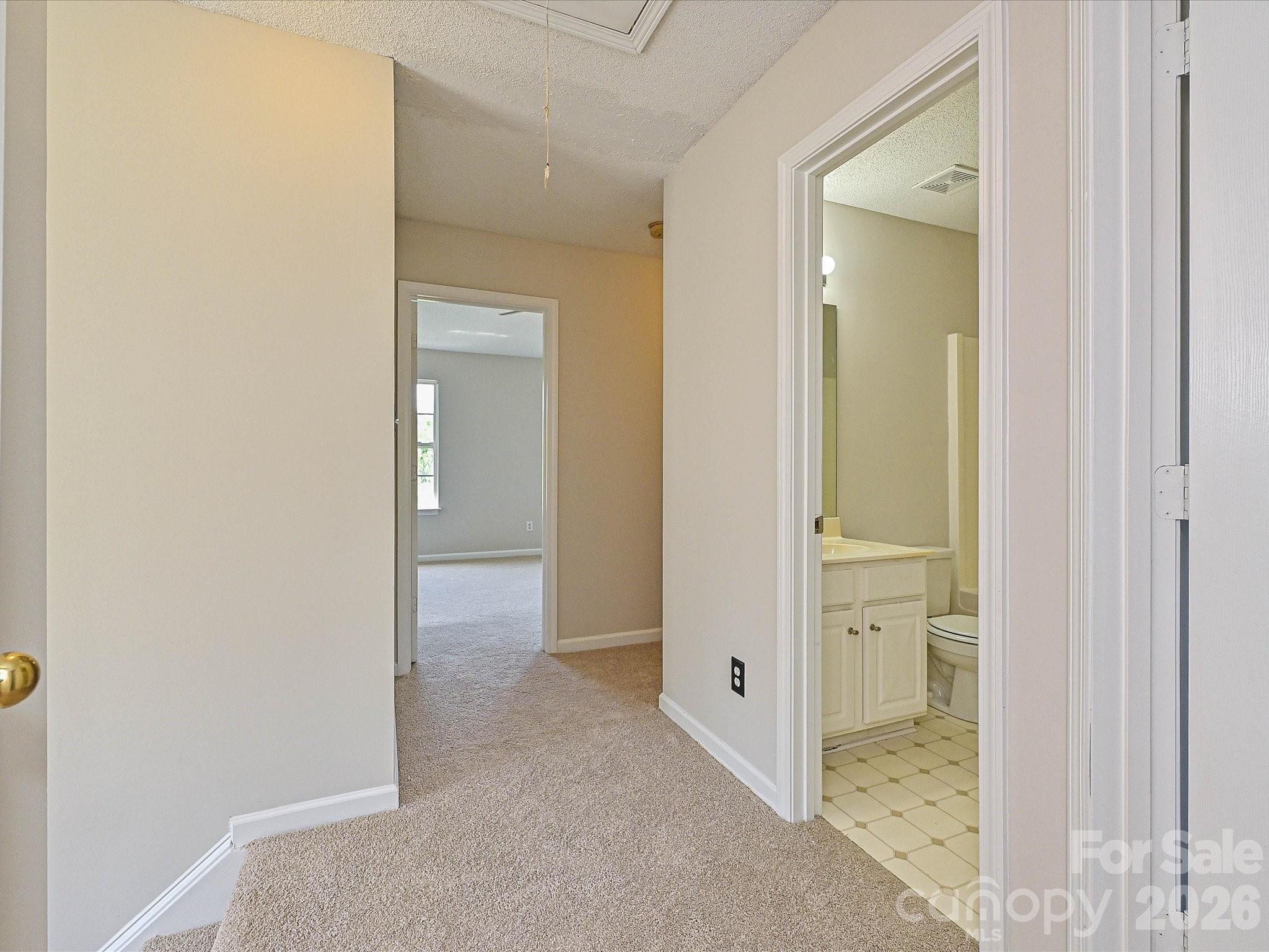 13623 Christian Tyler Court — Charlotte
