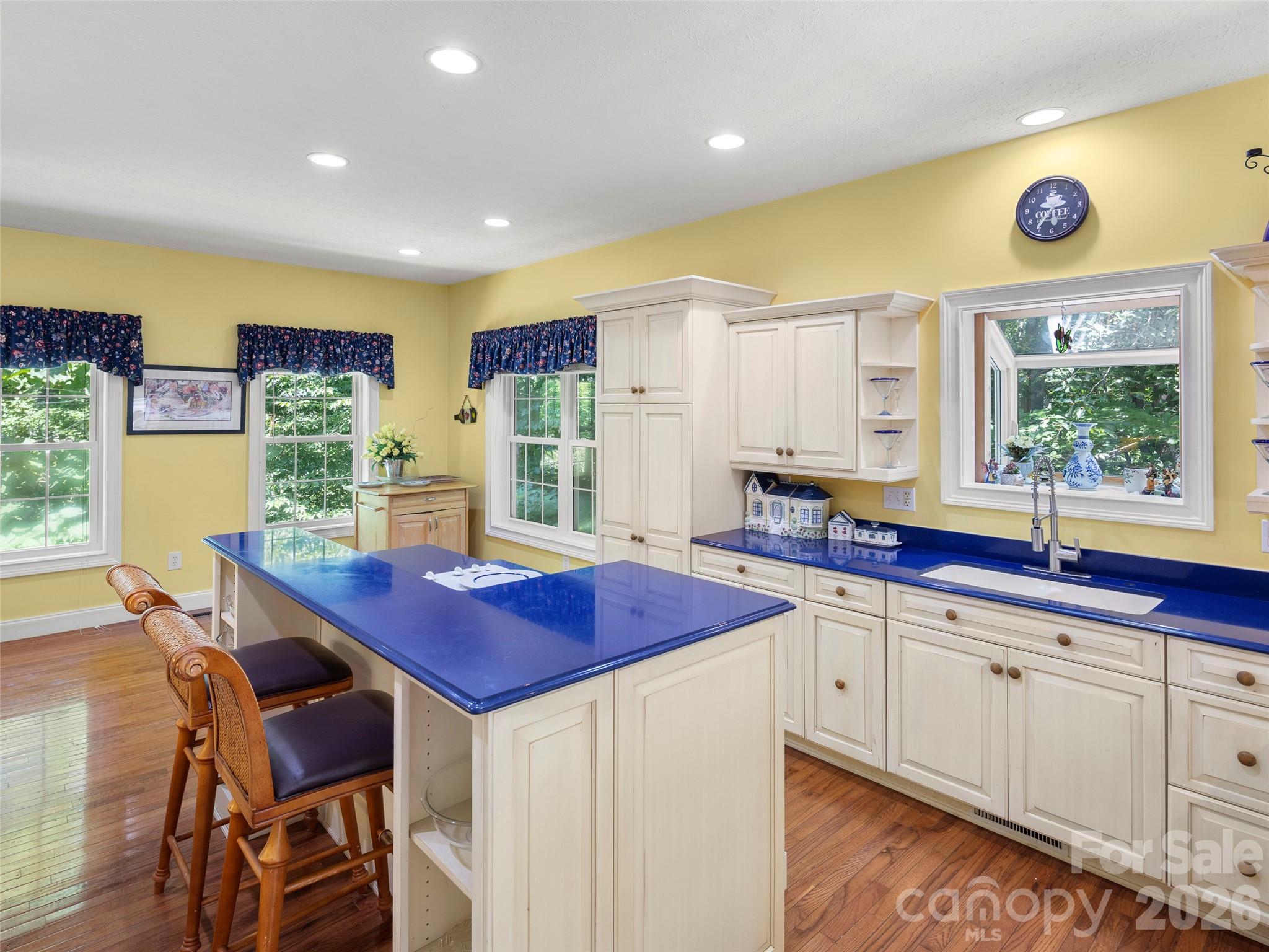 4901 Brevard Road — Horse Shoe