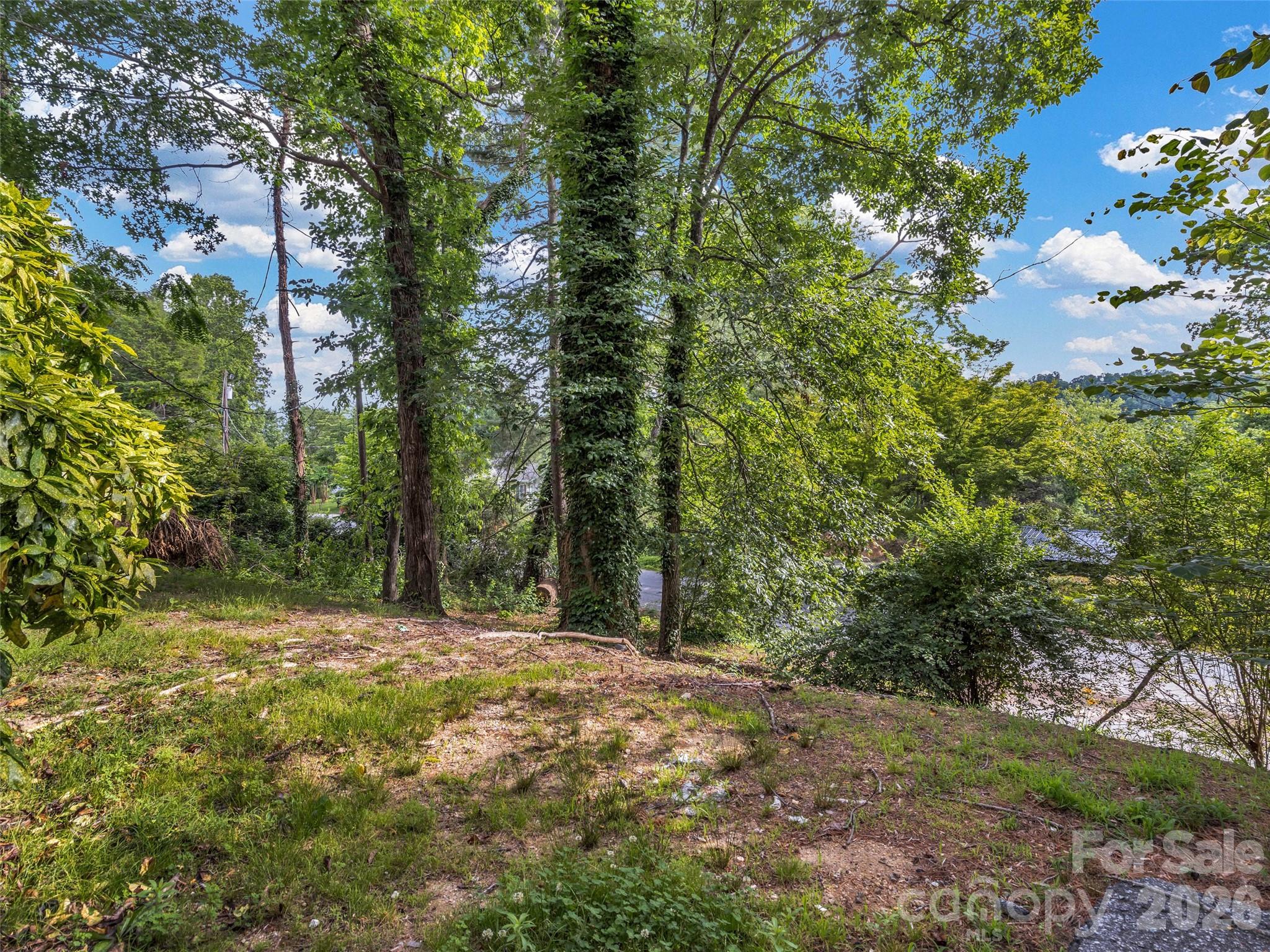 114 Elden Street — Hendersonville
