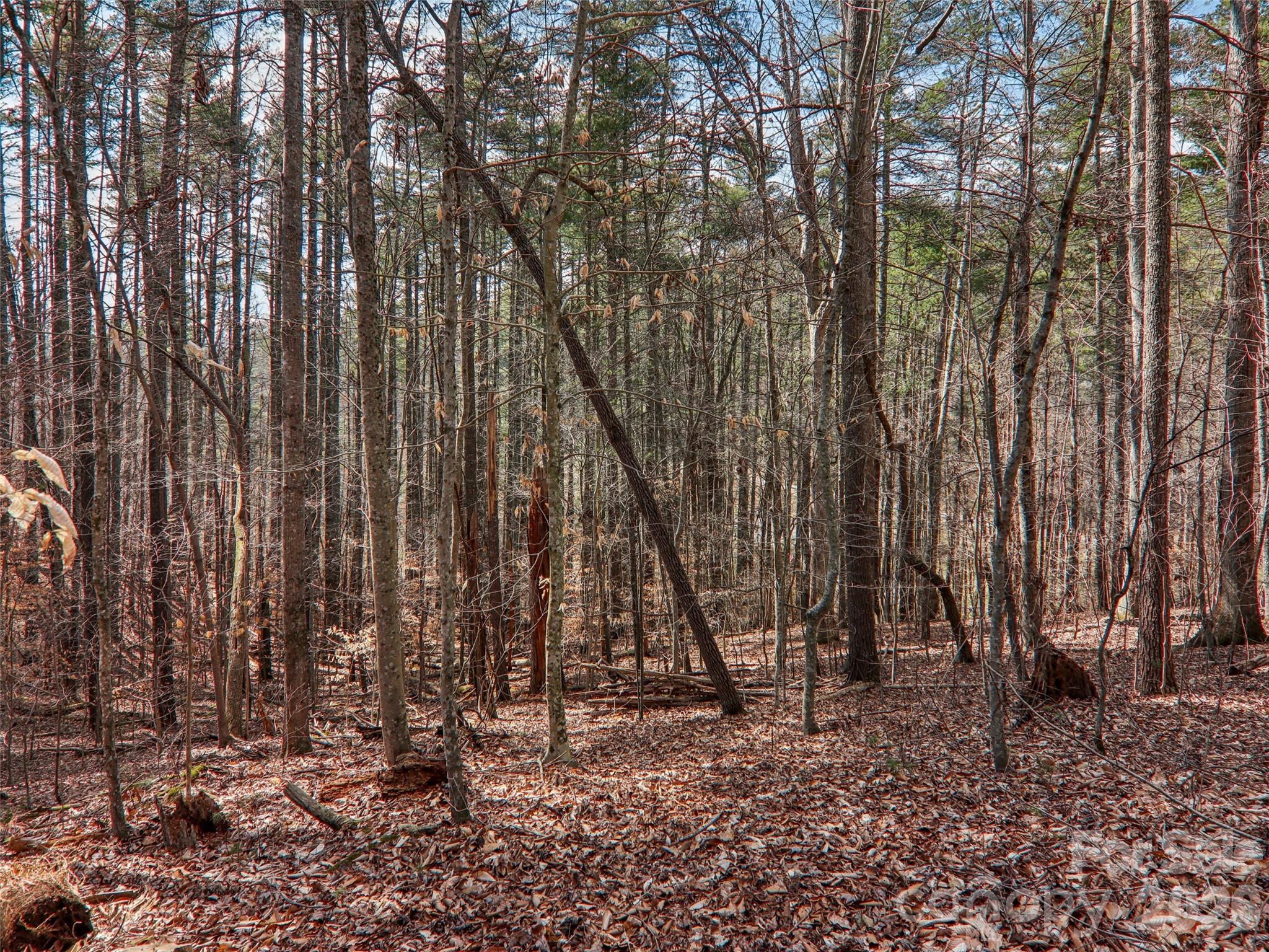 74 Woodson Drive — Mars Hill