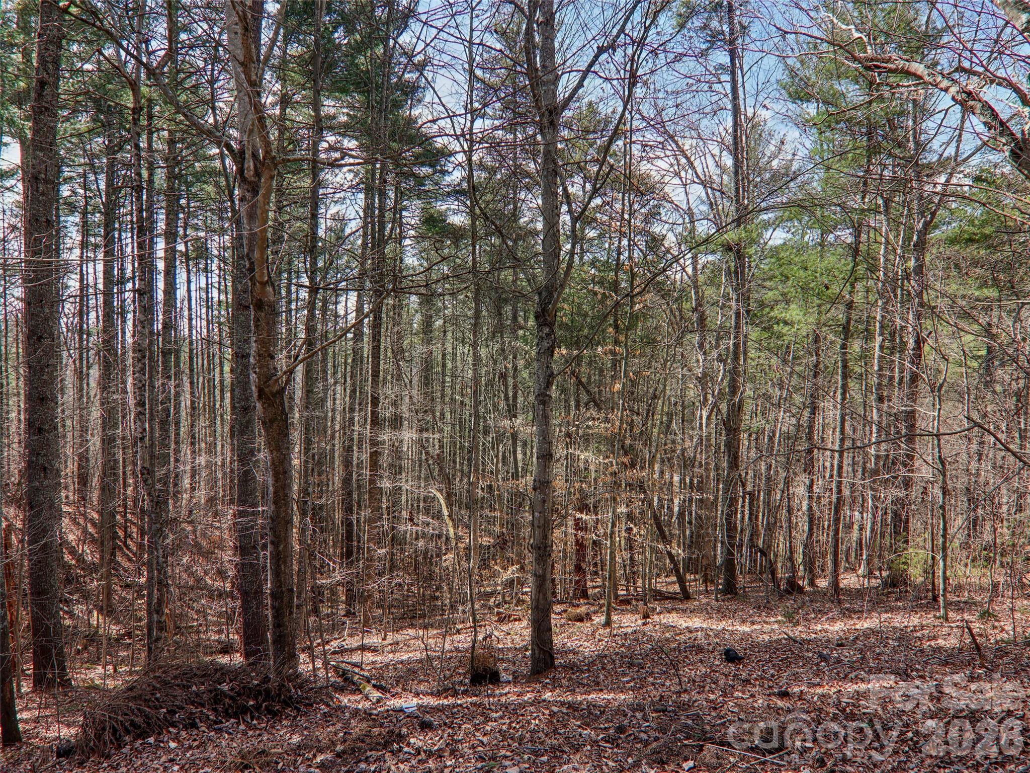 74 Woodson Drive — Mars Hill