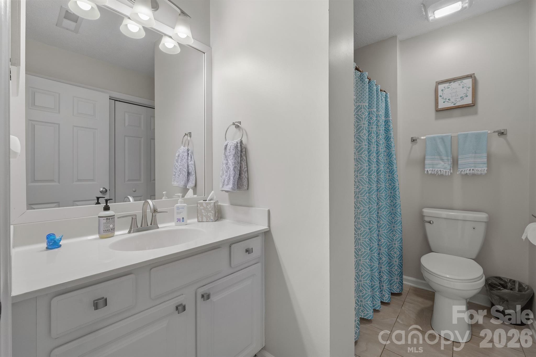 21153 Cold Spring Lane — Cornelius