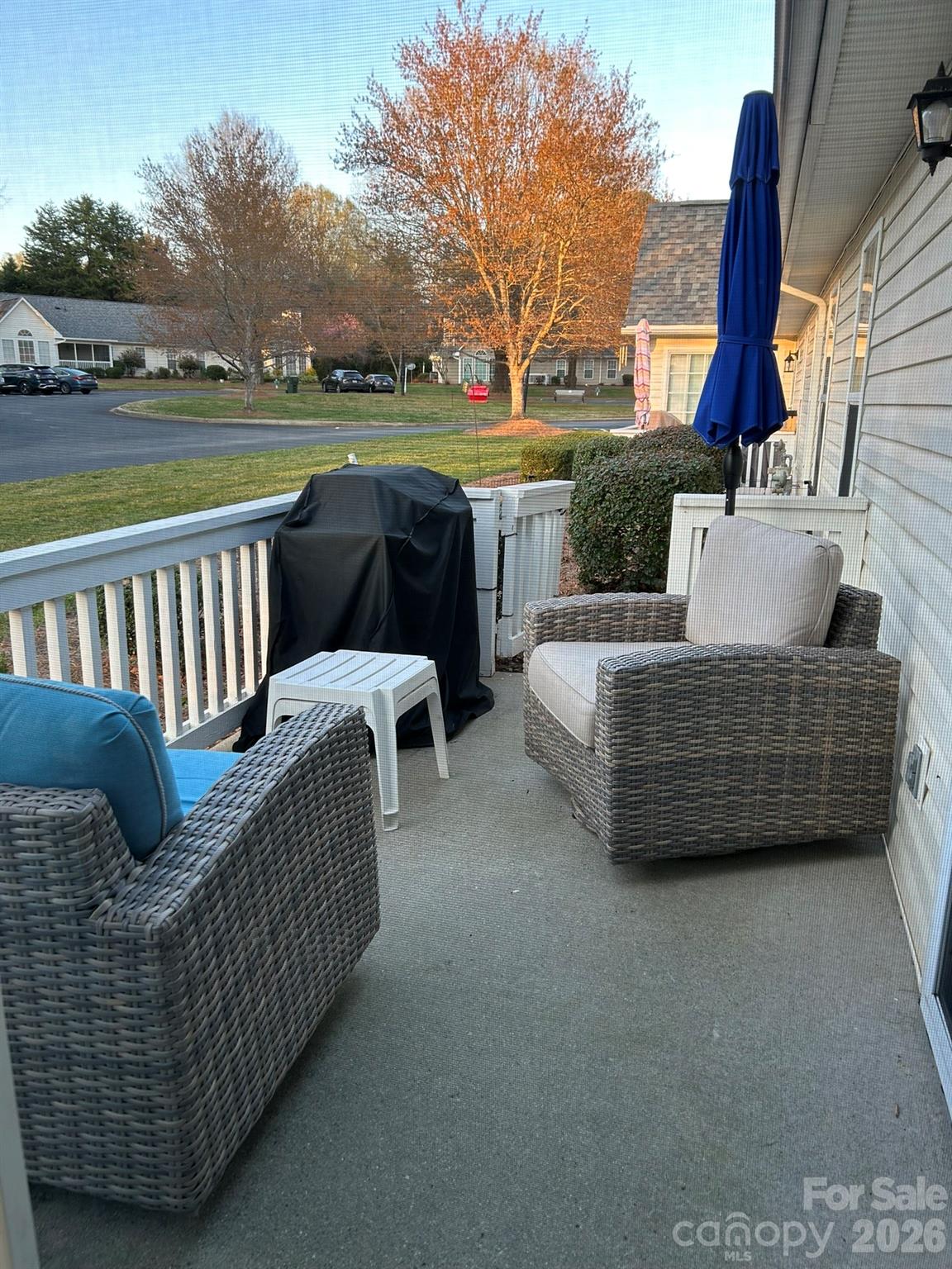21153 Cold Spring Lane — Cornelius