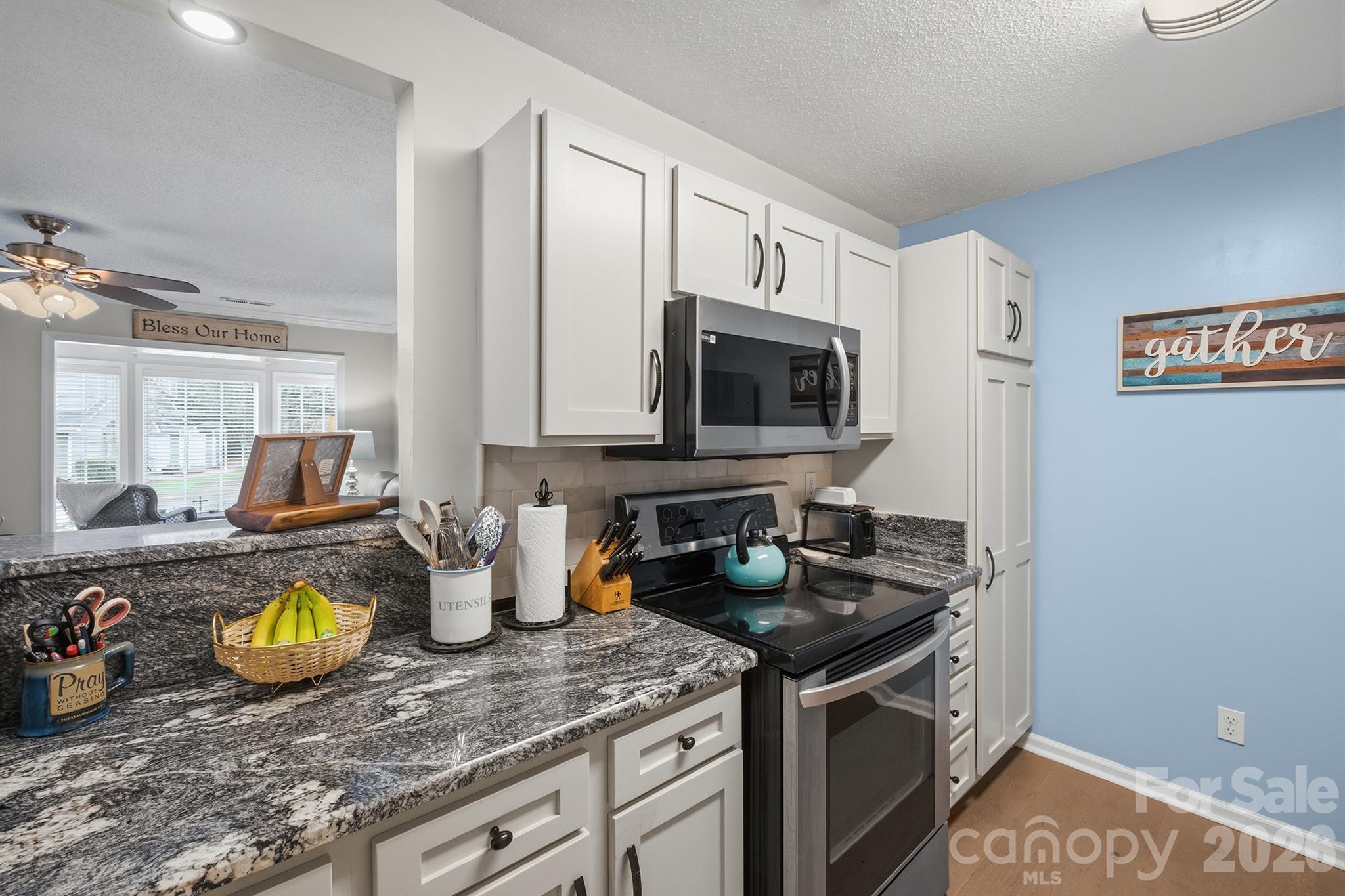 21153 Cold Spring Lane — Cornelius