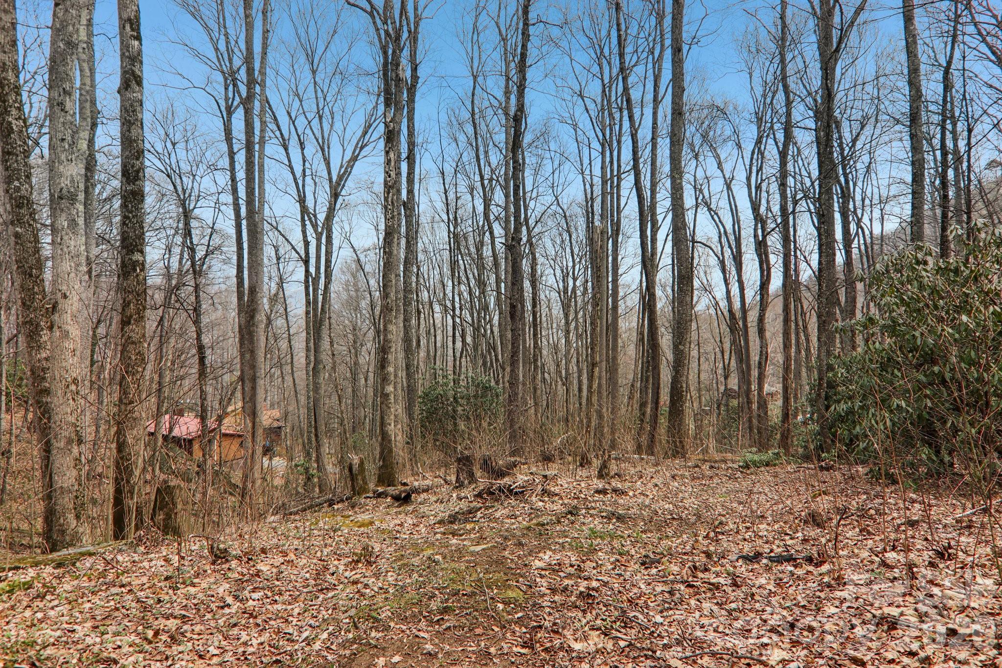 33 Fernbrook Road — Maggie Valley