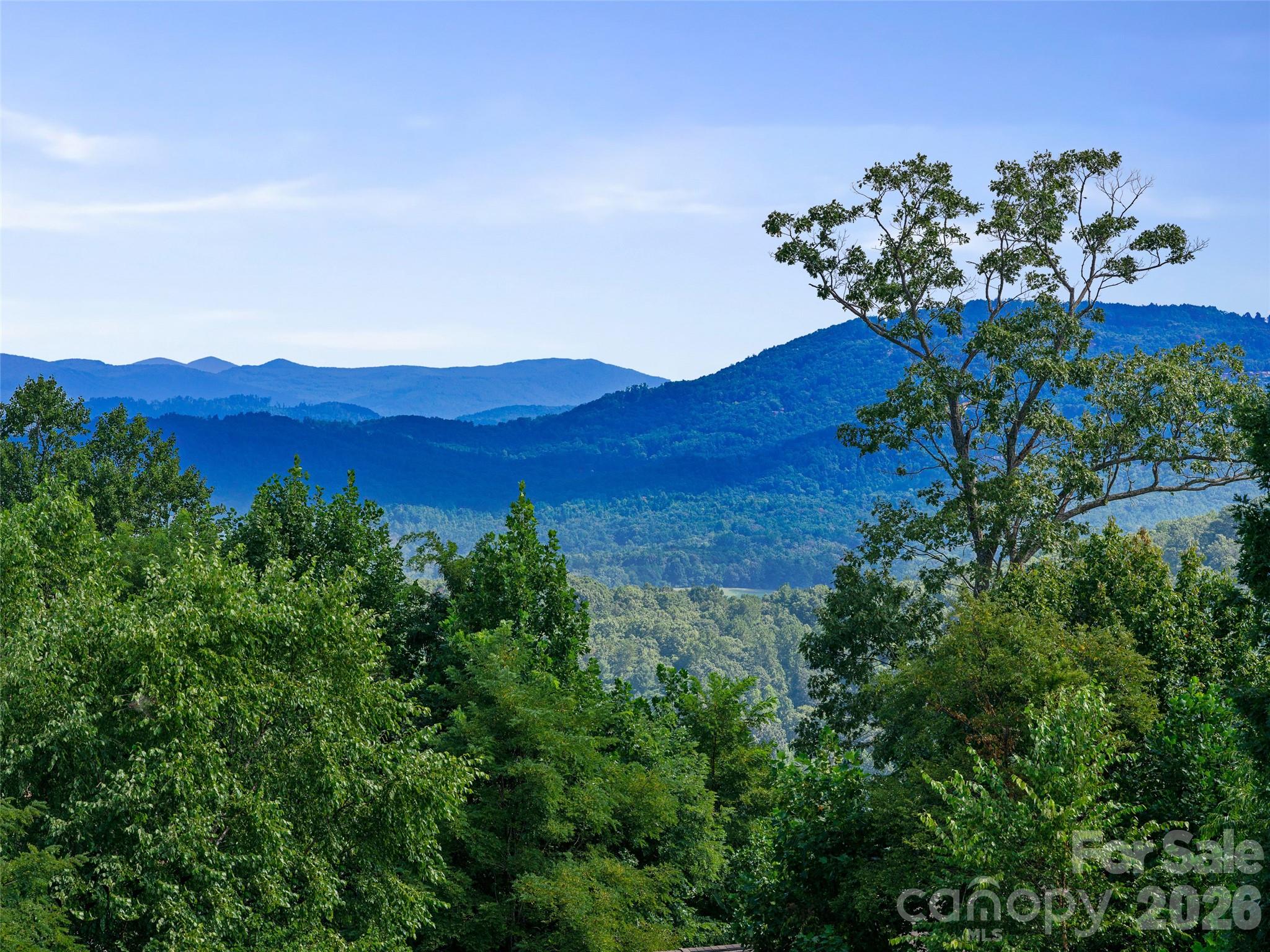 247 Coachman Drive — Hendersonville