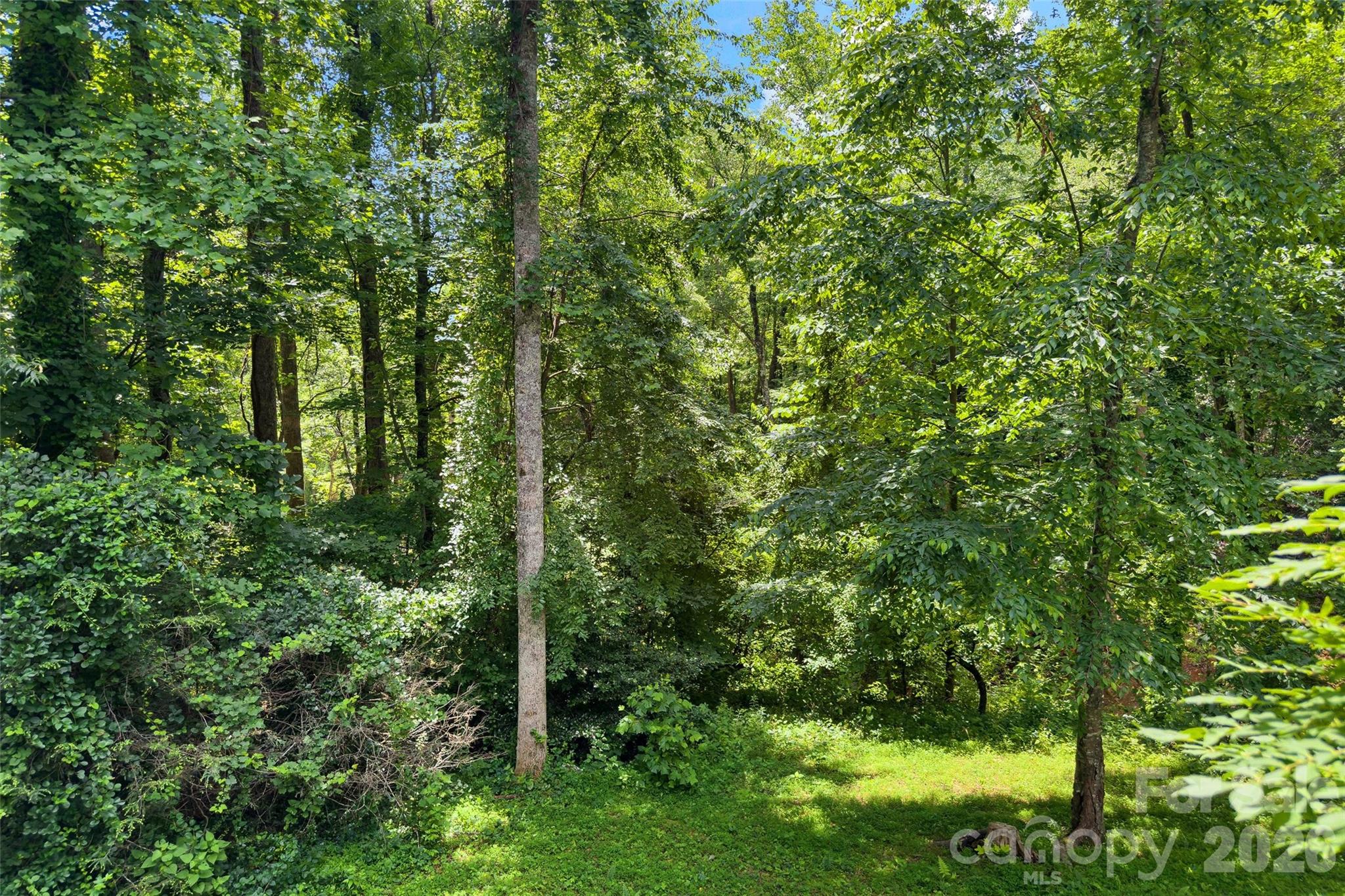 57 Rocky Branch Trail — Marion