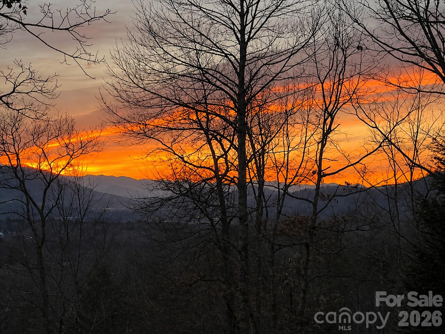 43 Galax Lane — Black Mountain