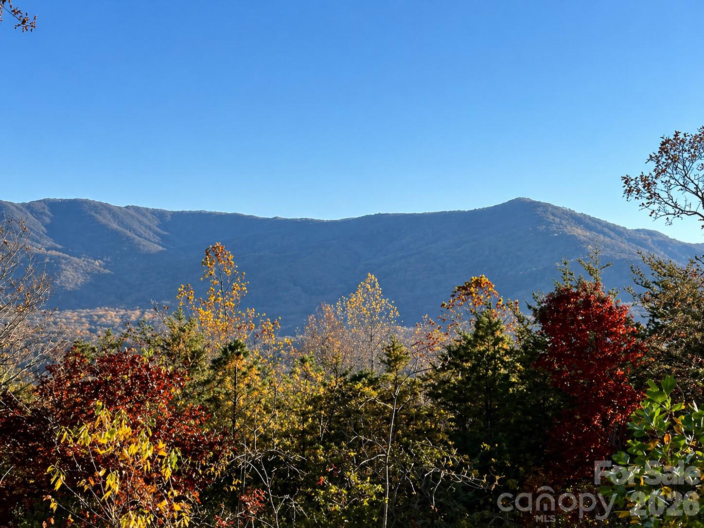 43 Galax Lane — Black Mountain
