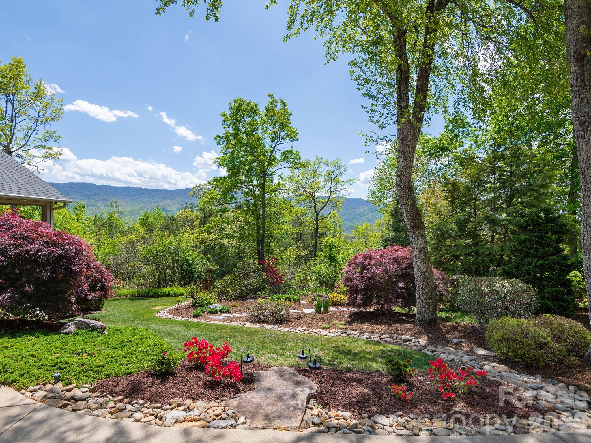 43 Galax Lane — Black Mountain