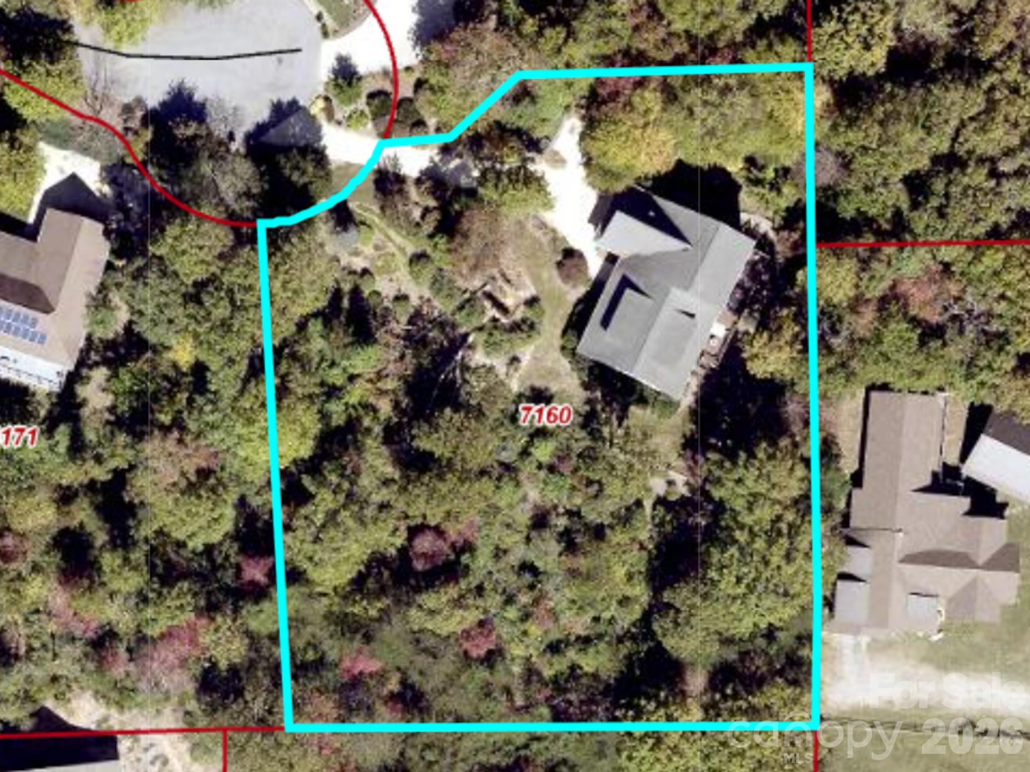 43 Galax Lane — Black Mountain