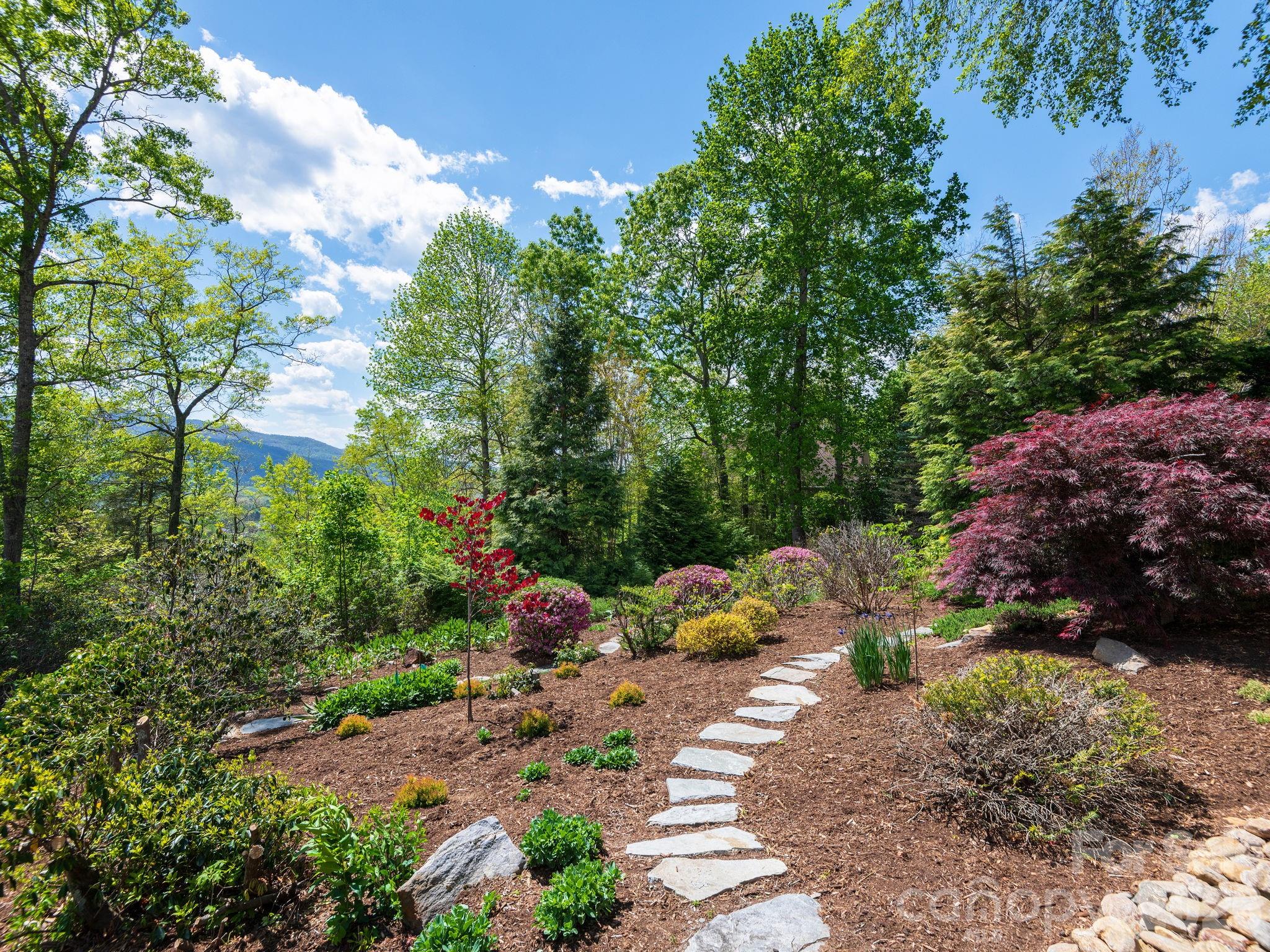 43 Galax Lane — Black Mountain