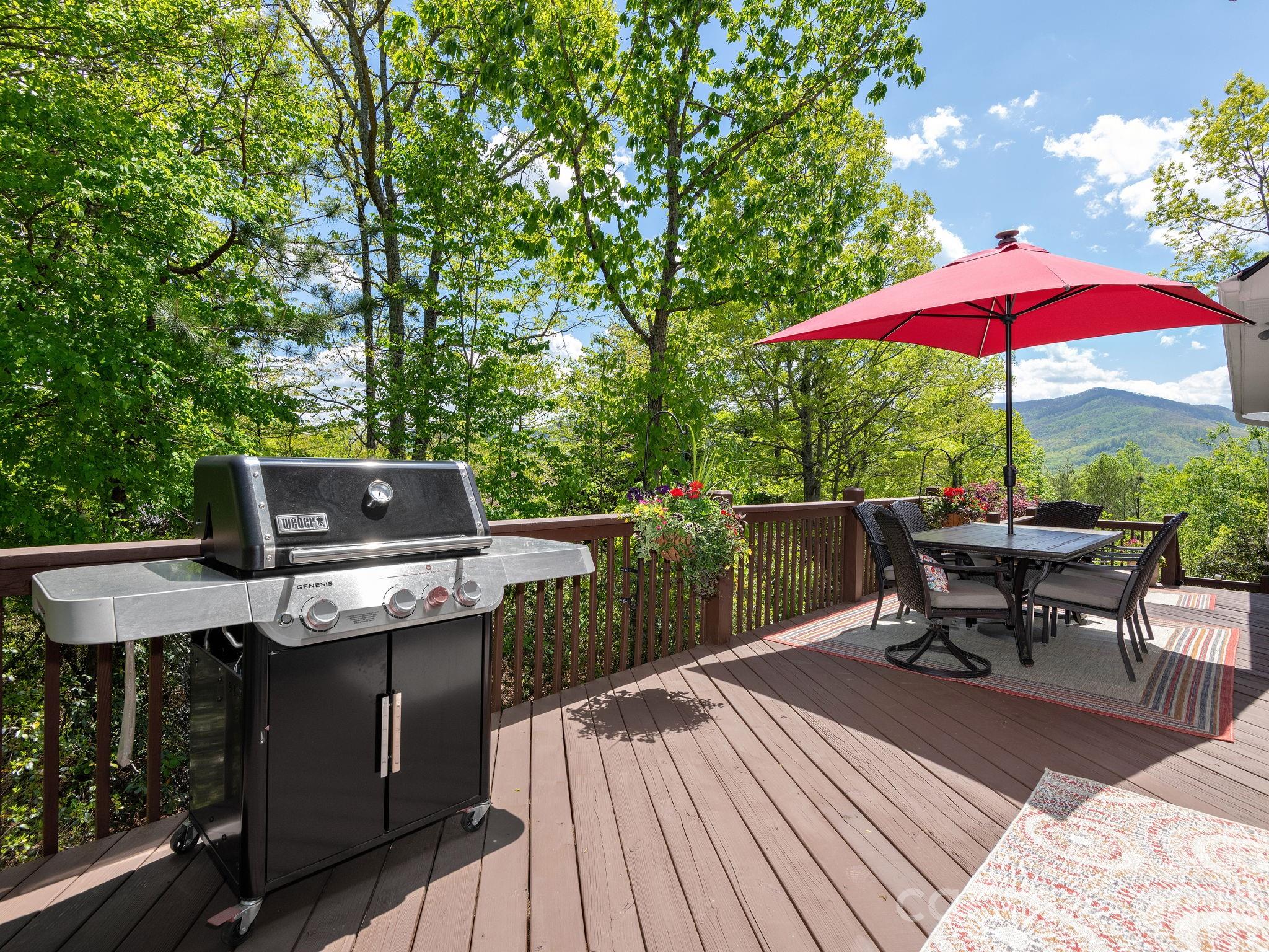 43 Galax Lane — Black Mountain