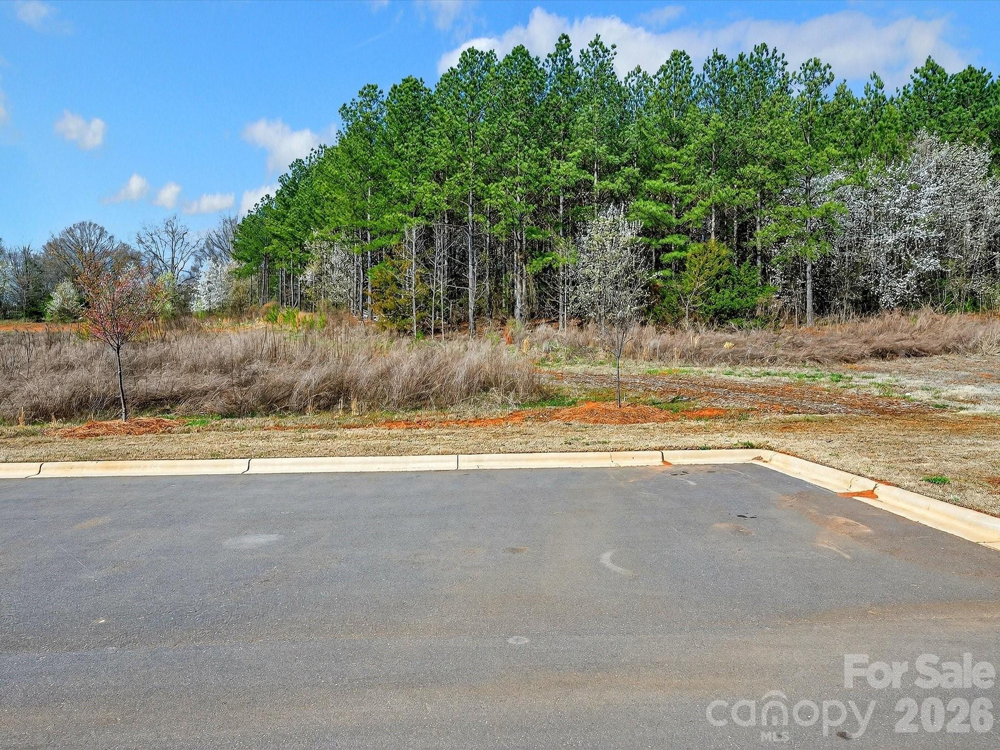 15748 Country House Street — Charlotte