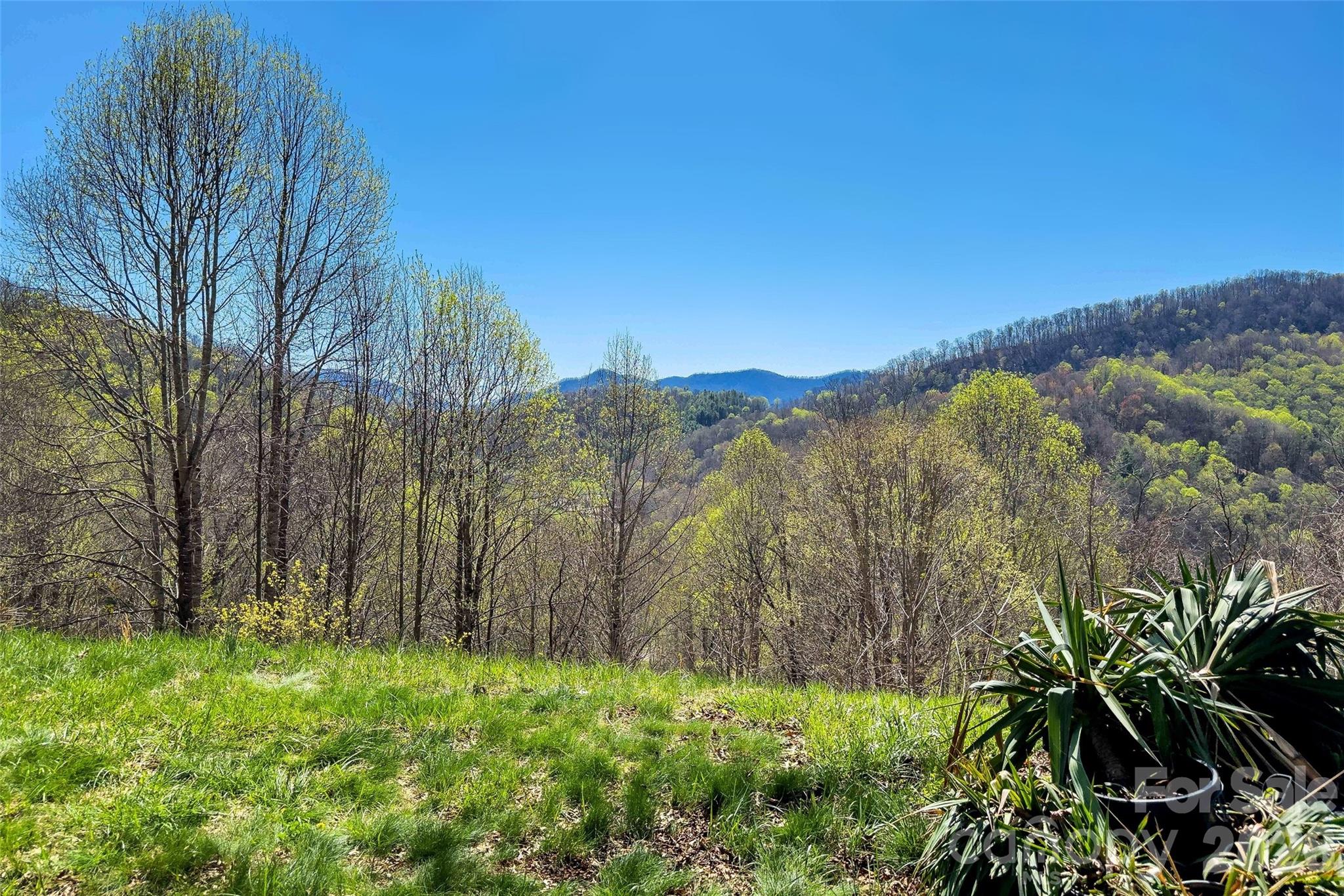 311 Pisgah Mine Road — Burnsville