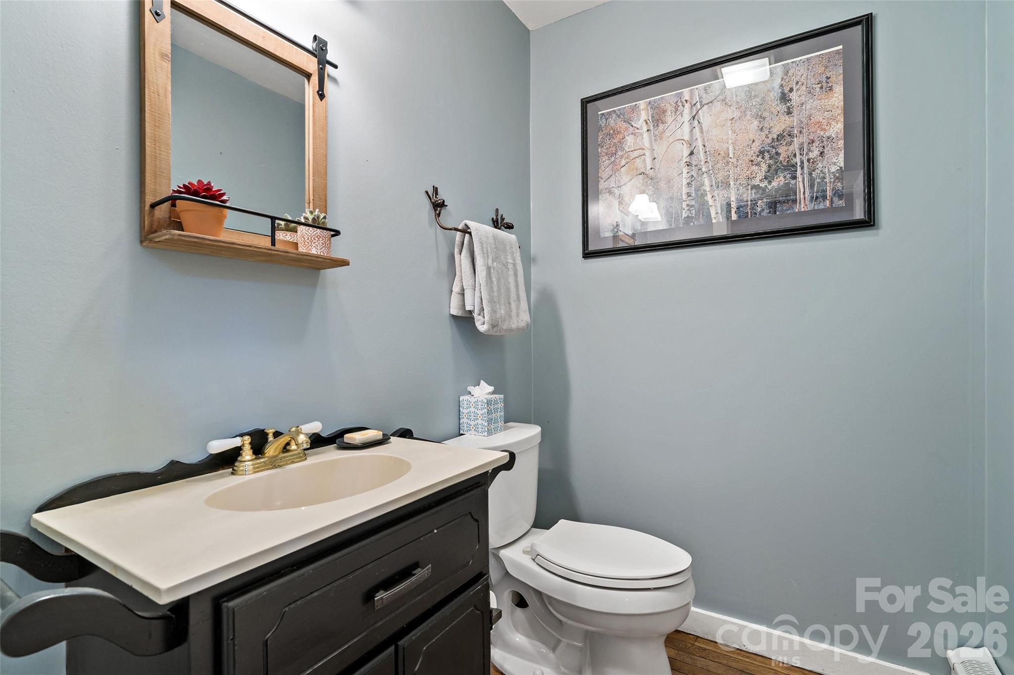 311 Pisgah Mine Road — Burnsville