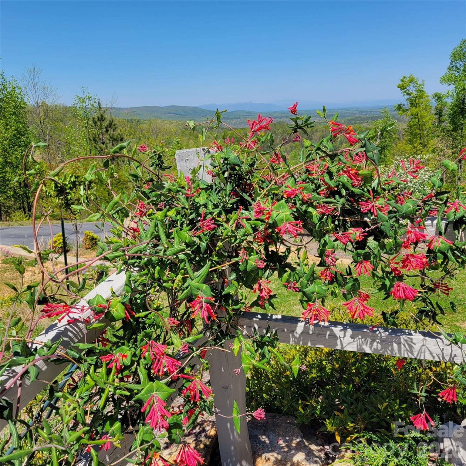 2262 Grandview Peaks Drive — Nebo