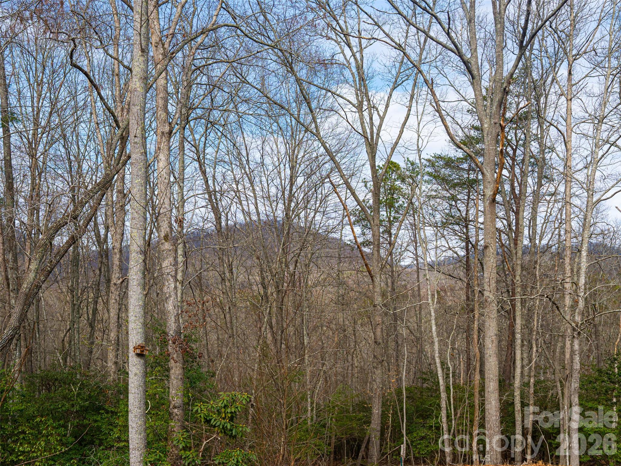 508 Avery Creek Road — Arden
