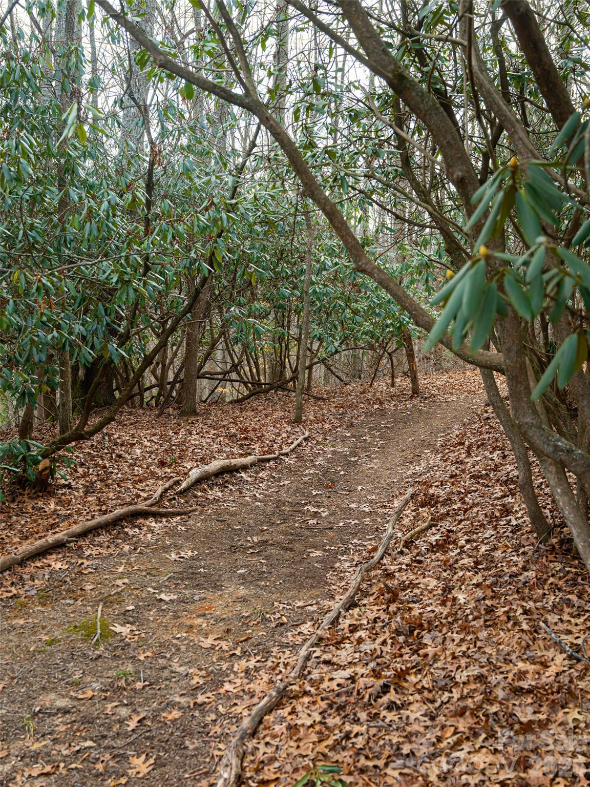 508 Avery Creek Road — Arden