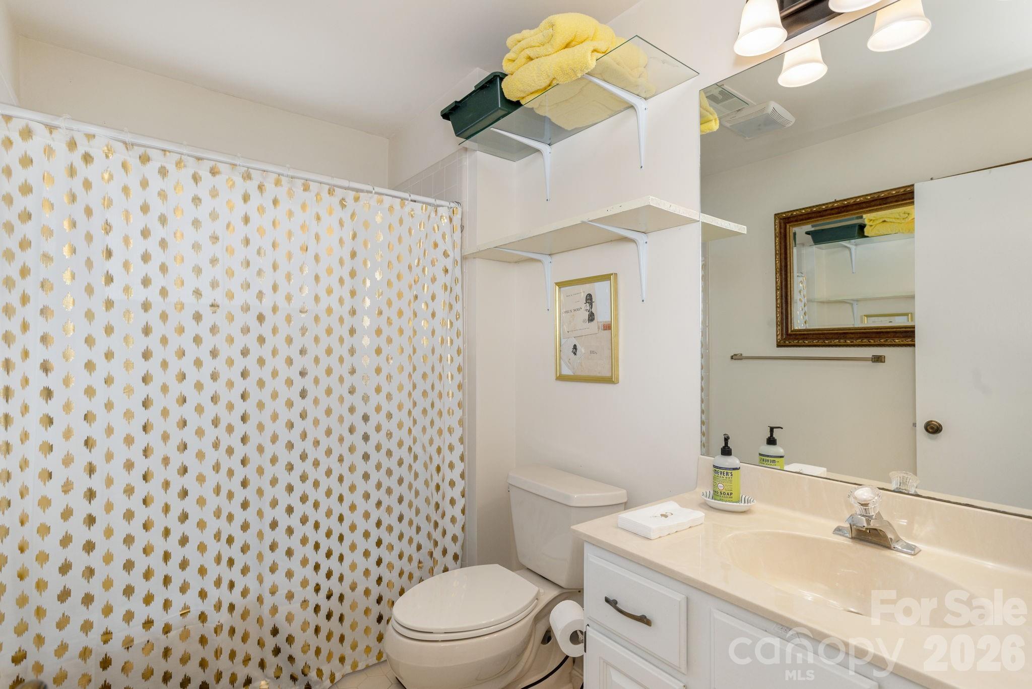 111 BLUFFVIEW Lane — Flat Rock