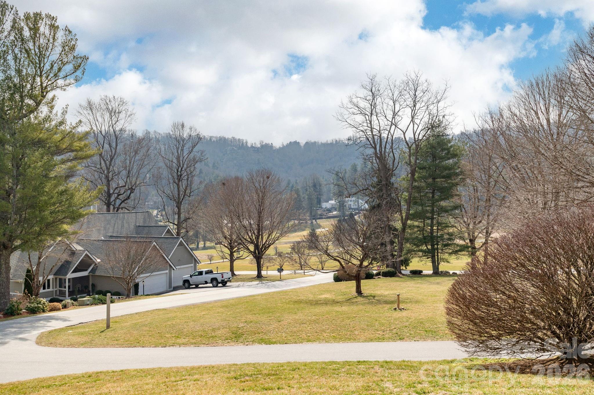 111 BLUFFVIEW Lane — Flat Rock