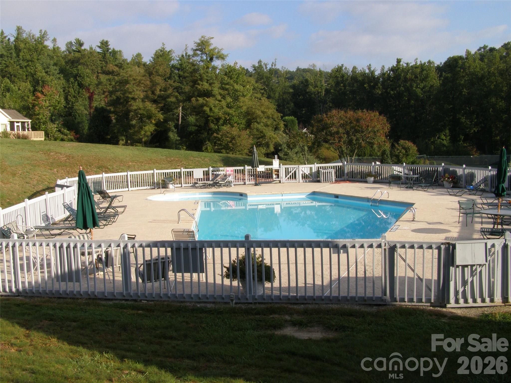 111 BLUFFVIEW Lane — Flat Rock