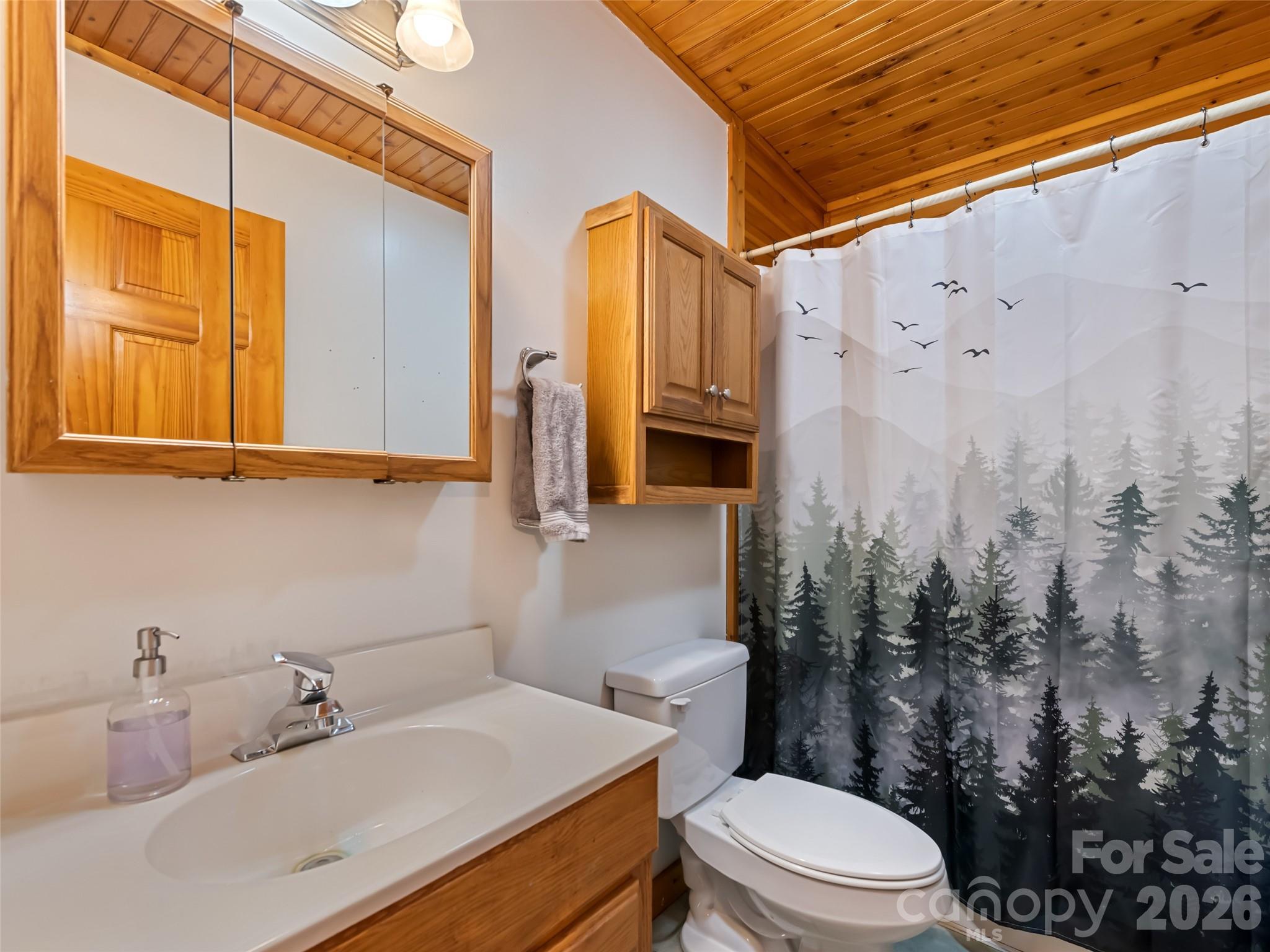 401 Tipstill Cove — Waynesville