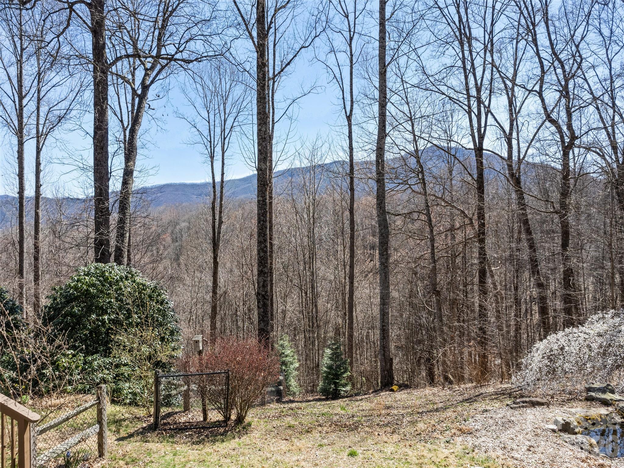 401 Tipstill Cove — Waynesville