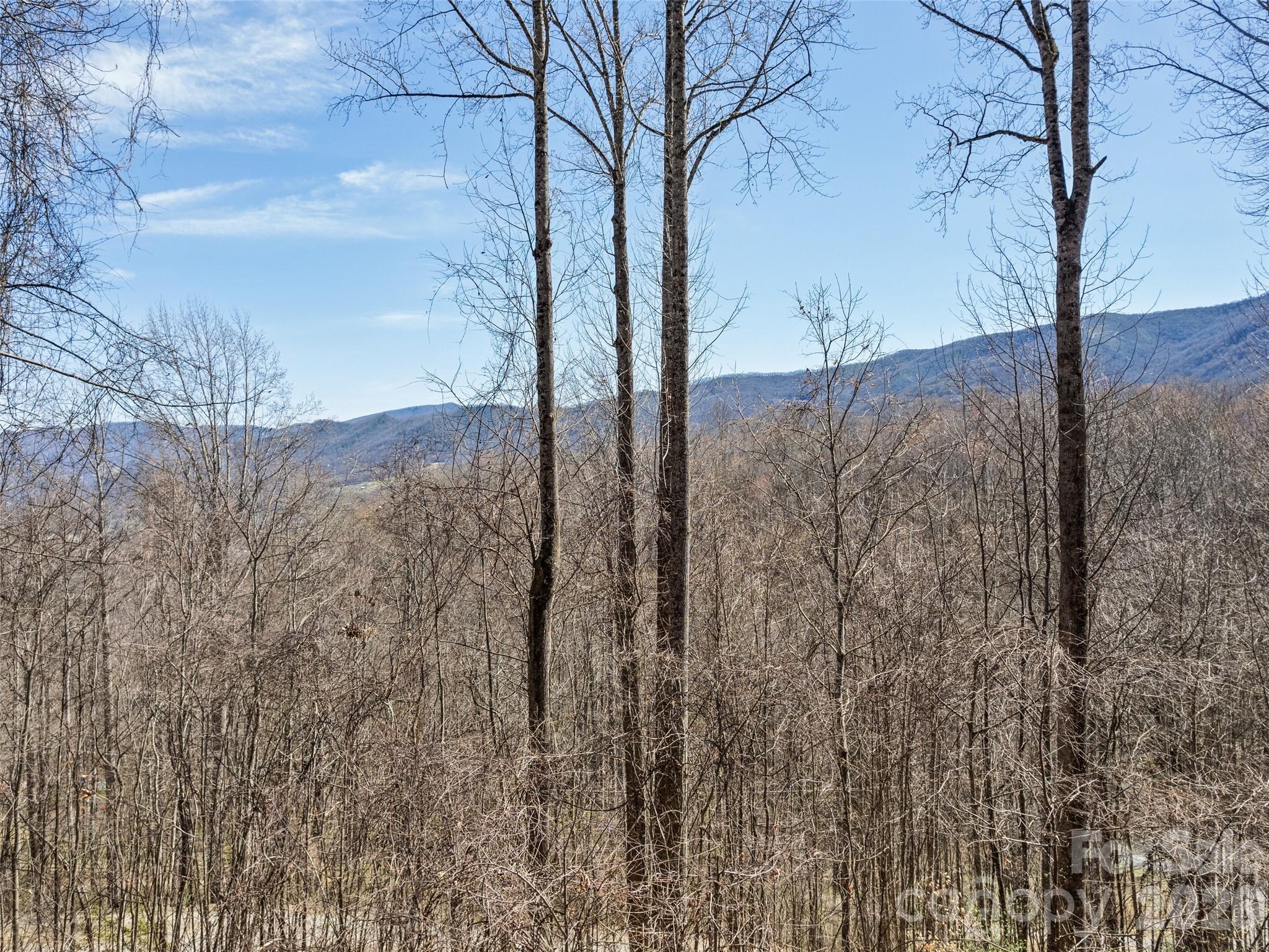 401 Tipstill Cove — Waynesville